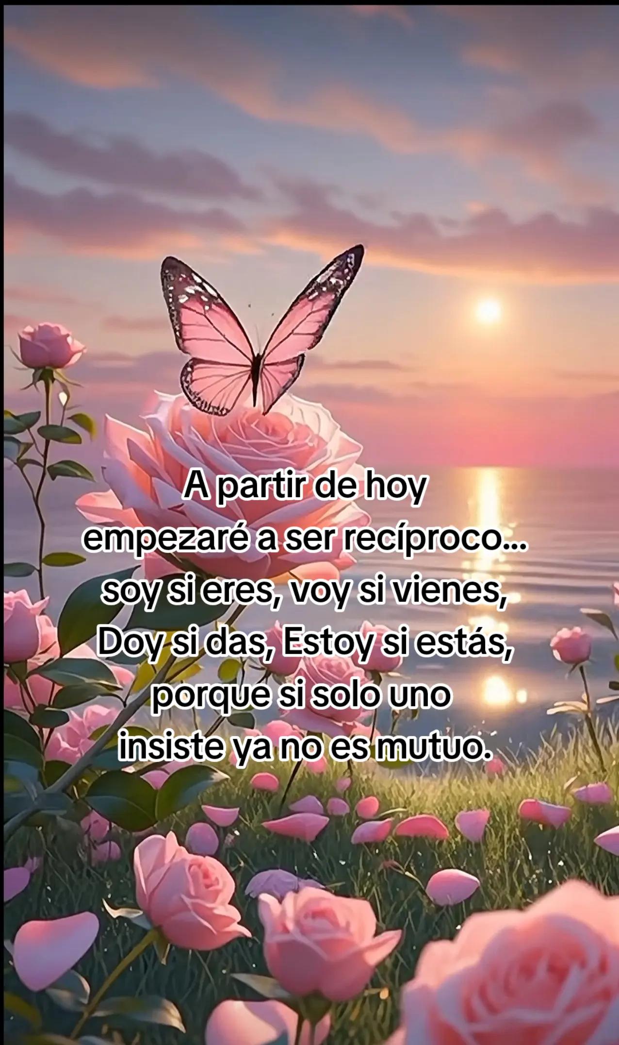 @Rafael V.J.(Lobito)