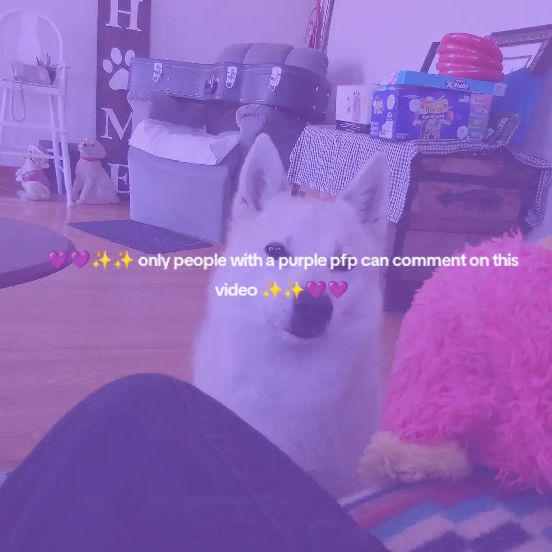 @FloorTiles101