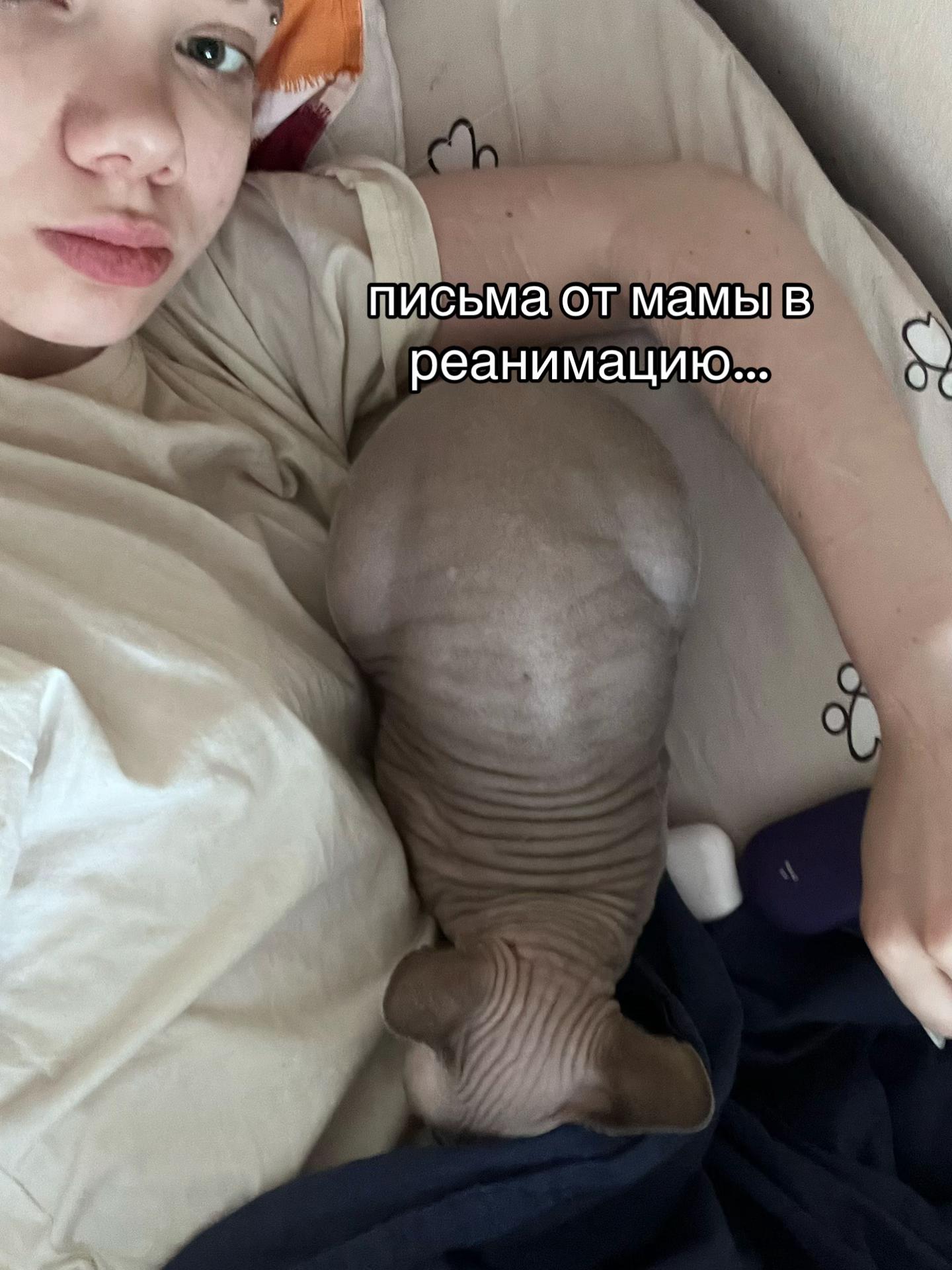@леся. ✩‧₊˚