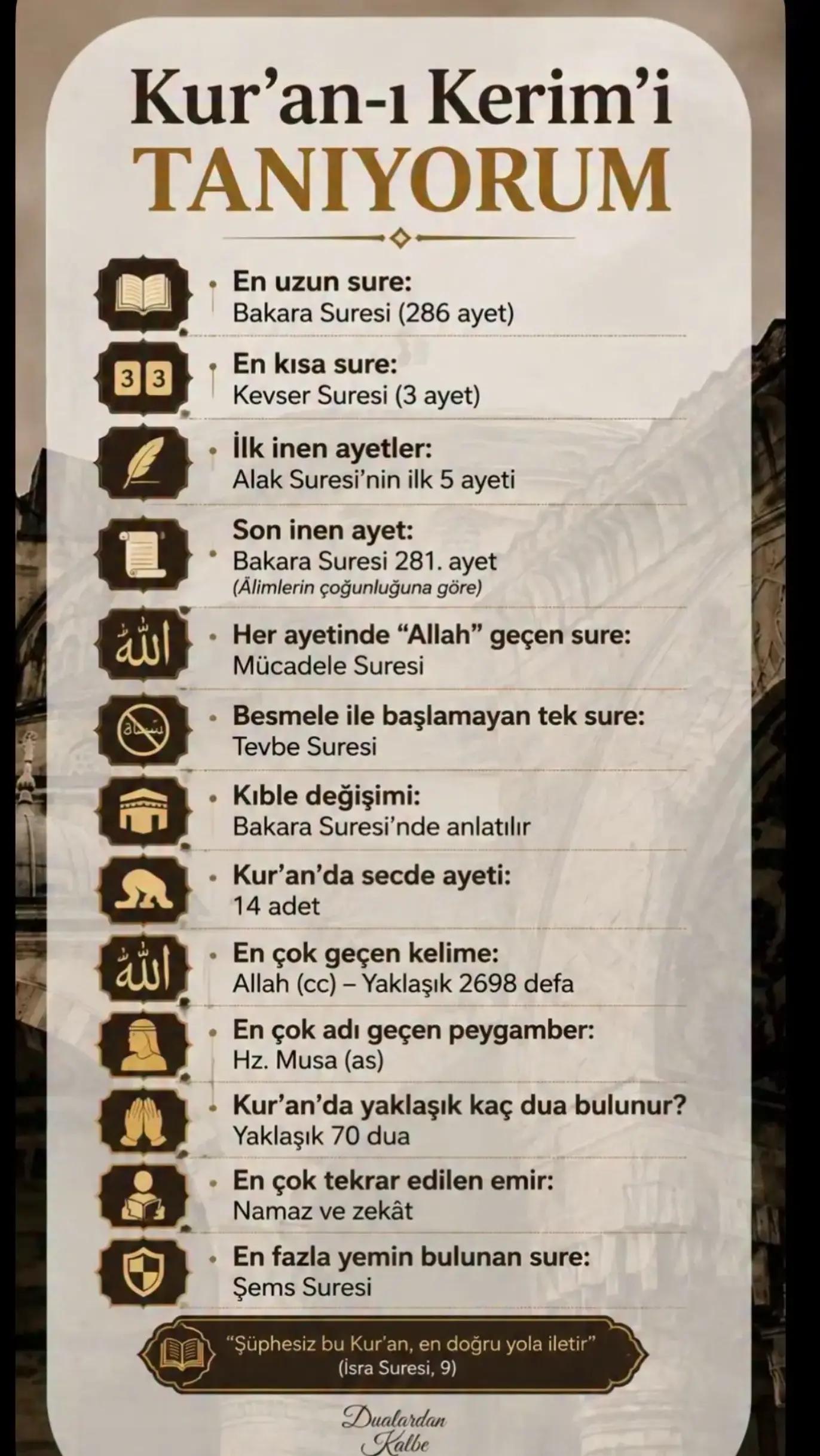@_Hafizali61
