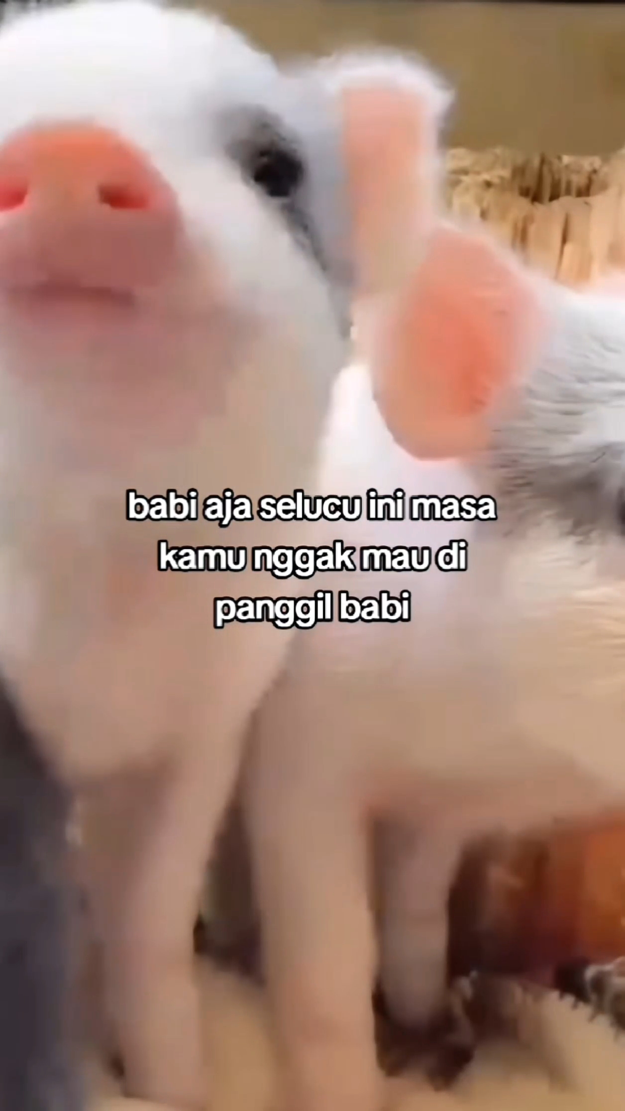 @Satryyy