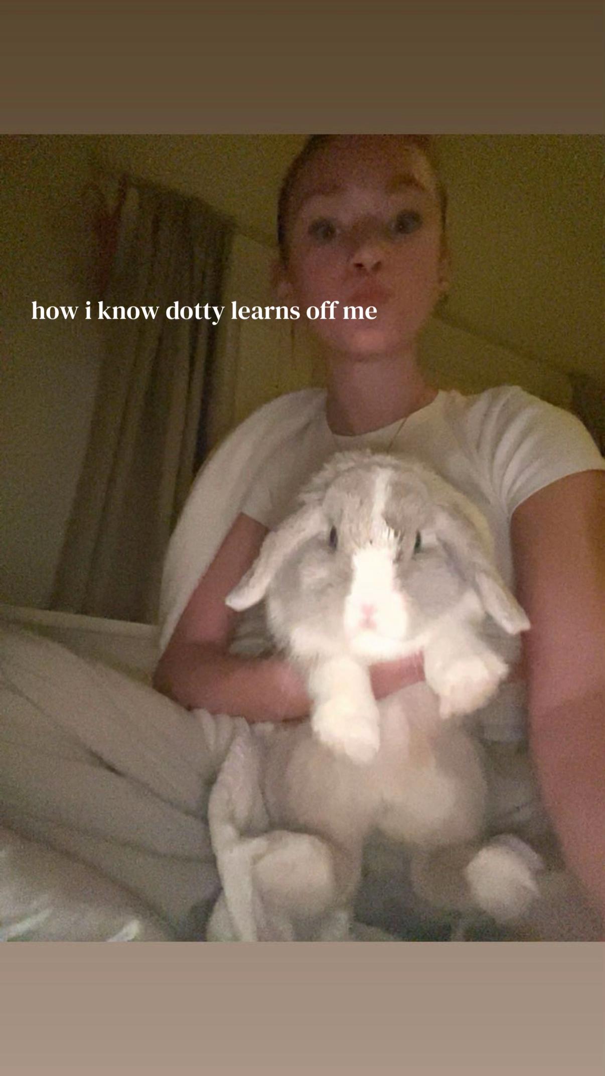 @𝐃𝐀𝐑𝐂𝐘