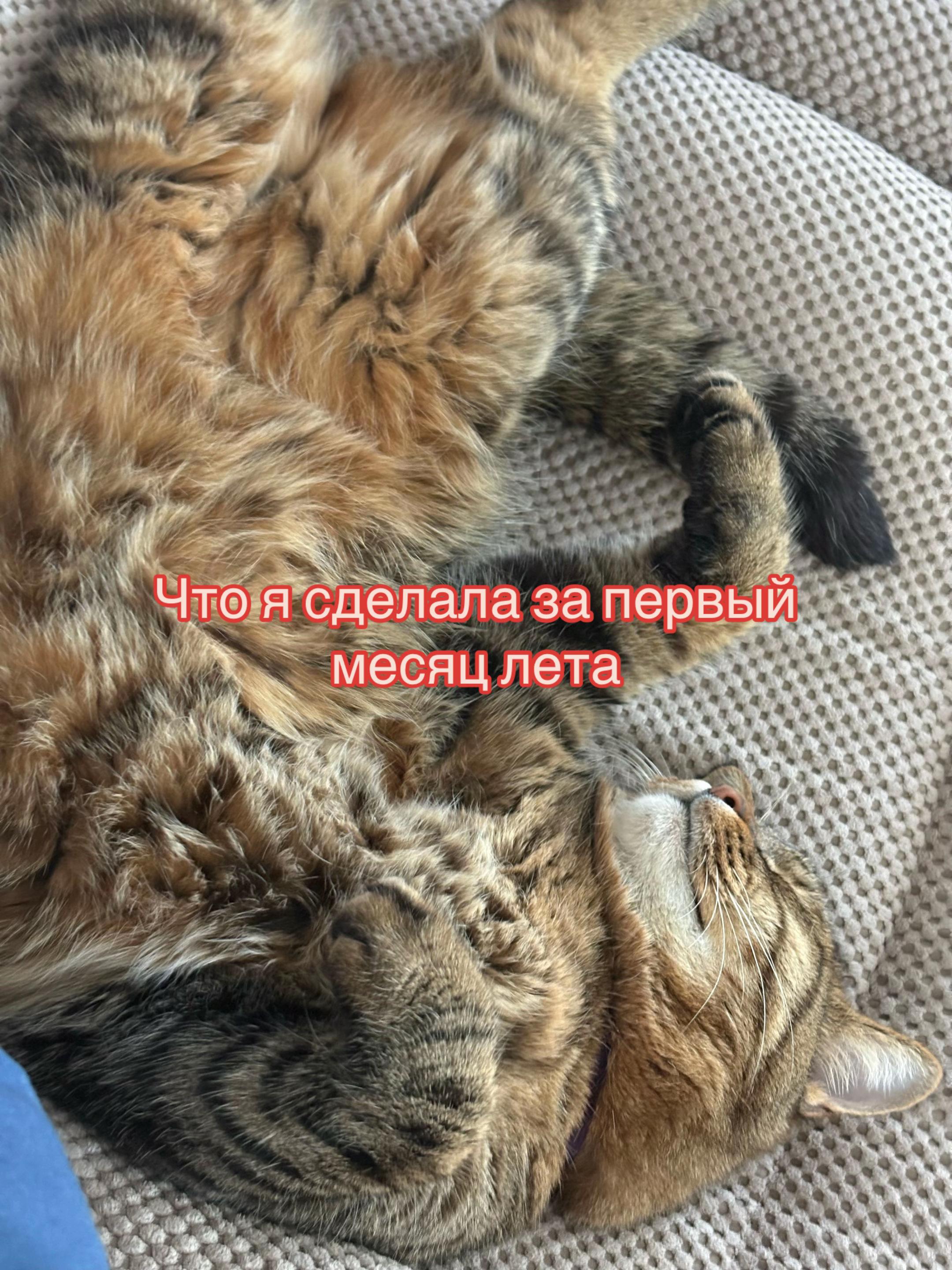 @Тгк:MINIA