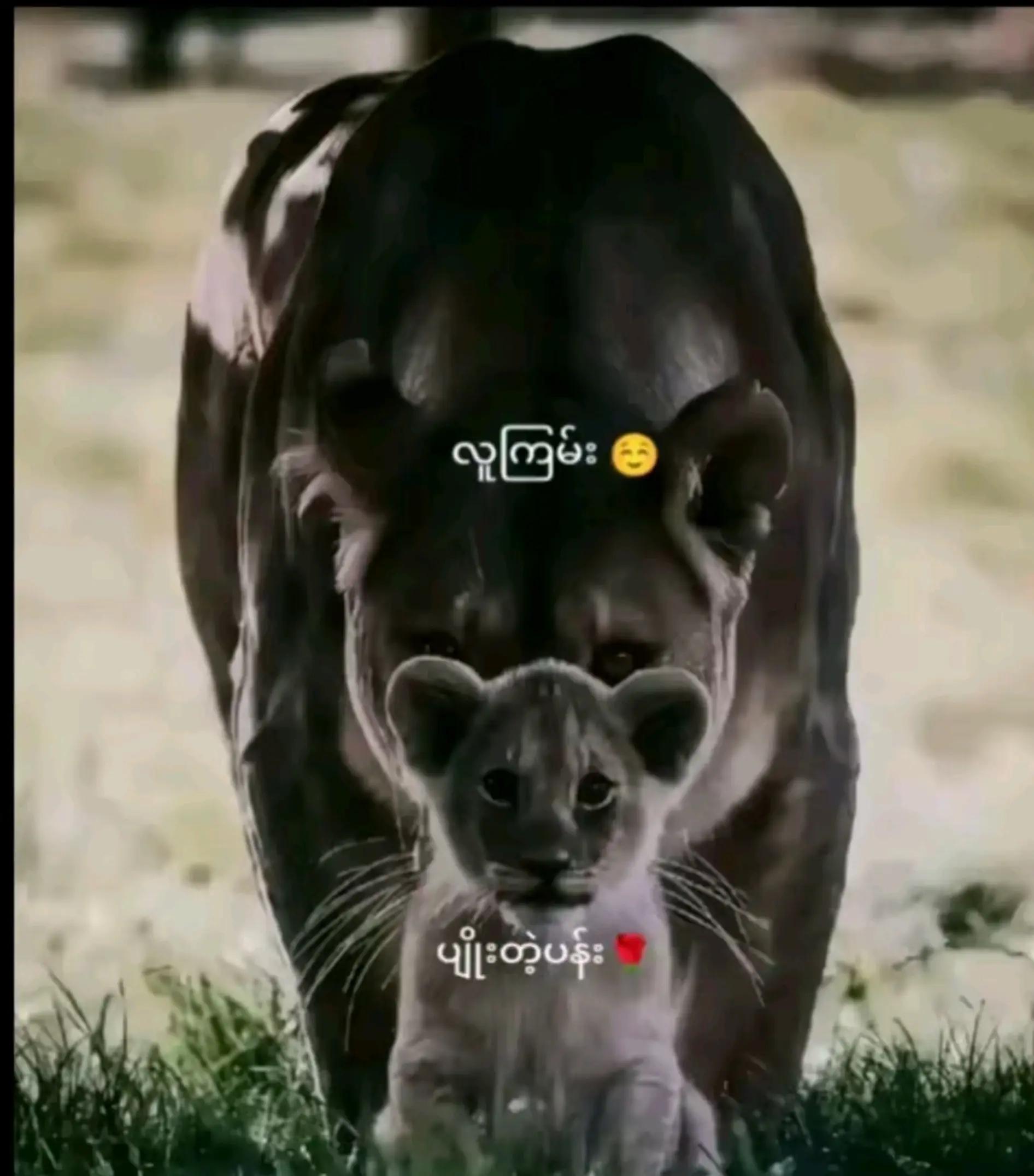@đááťá
áşáááŻáááŻáá˛áˇáá°ááŹáážááŻááşđ