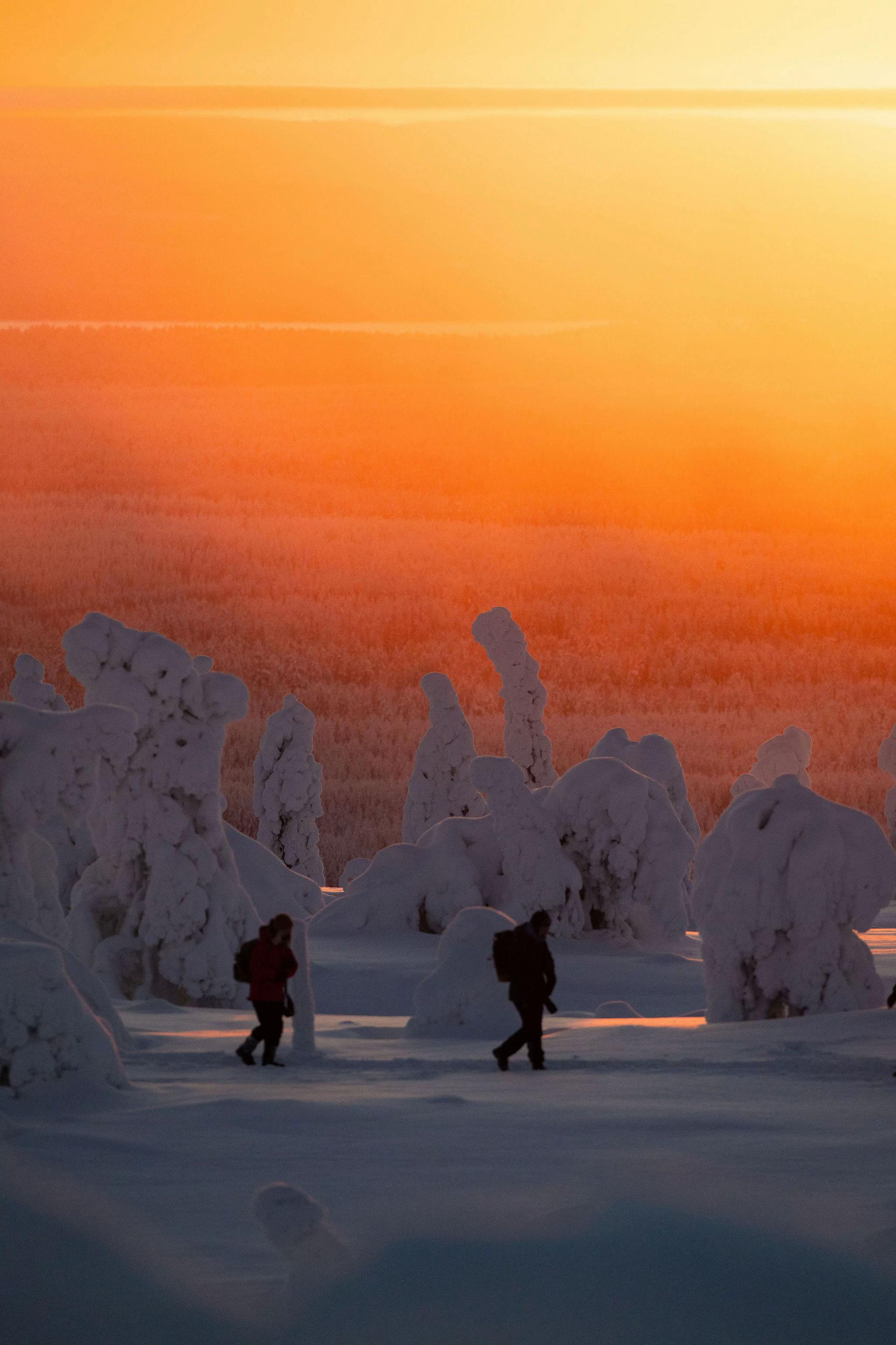 @BookLapland