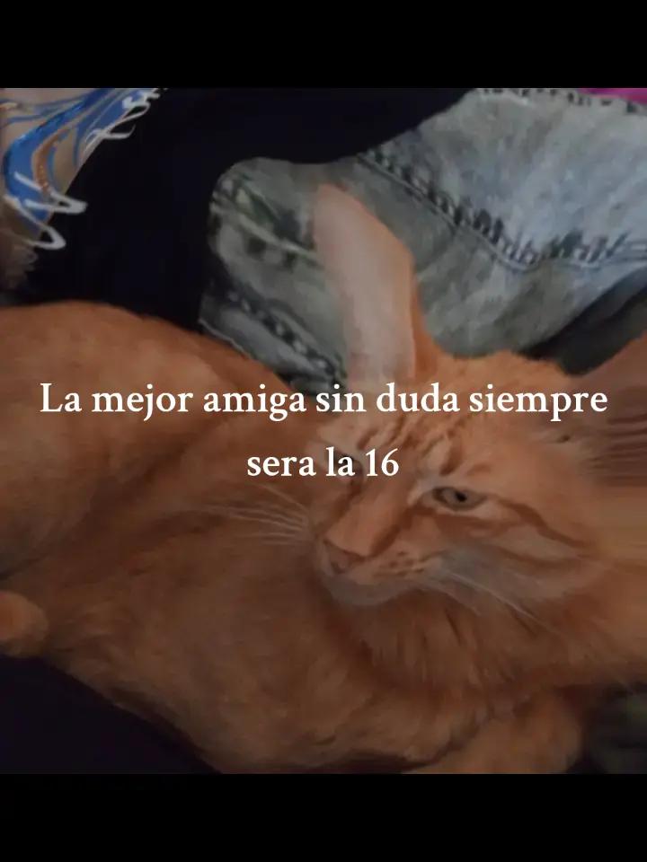 @•_•