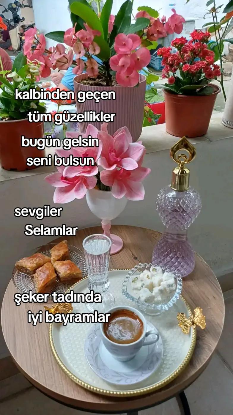 @🇹🇷Yasemin 01 35🇹🇷