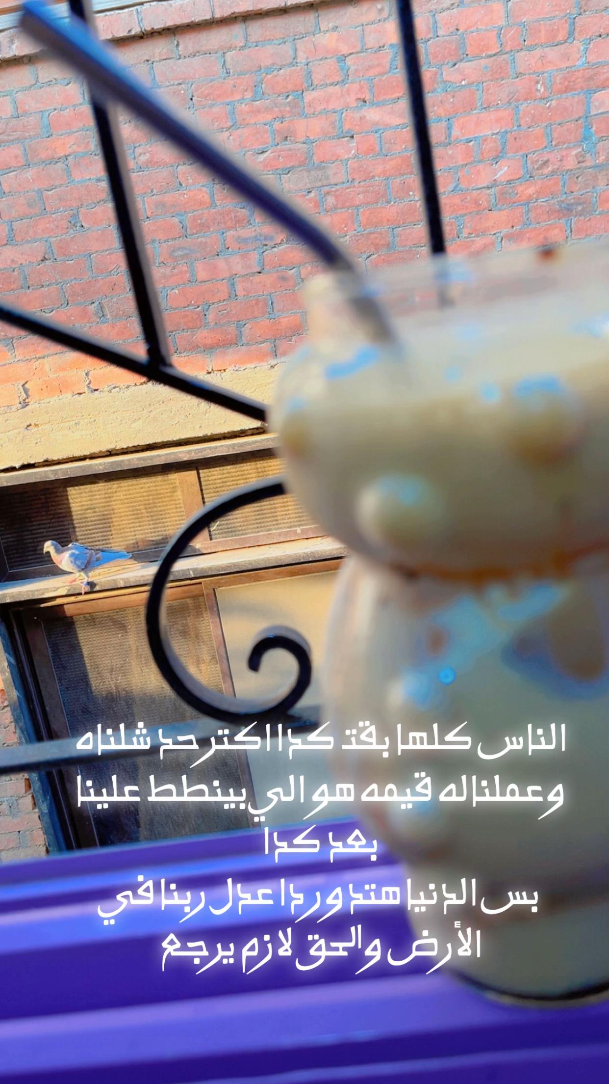 @Fatma Mahmoud