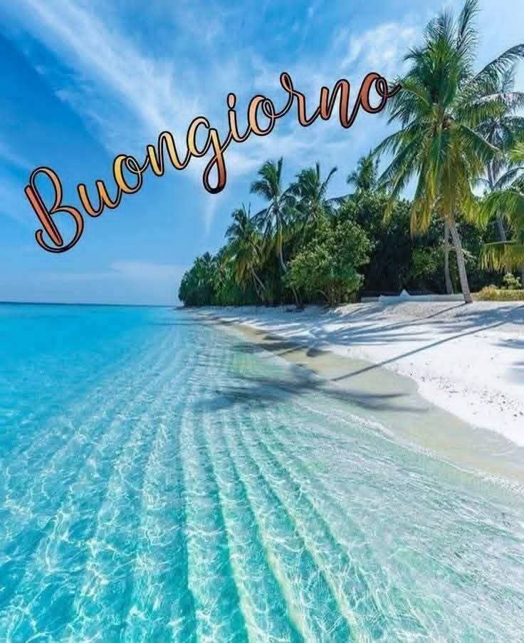 @silvanatarasco