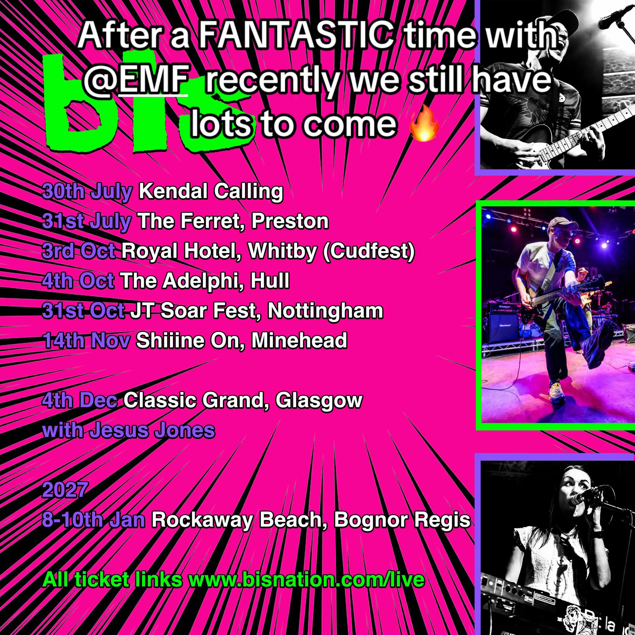 @bis.band