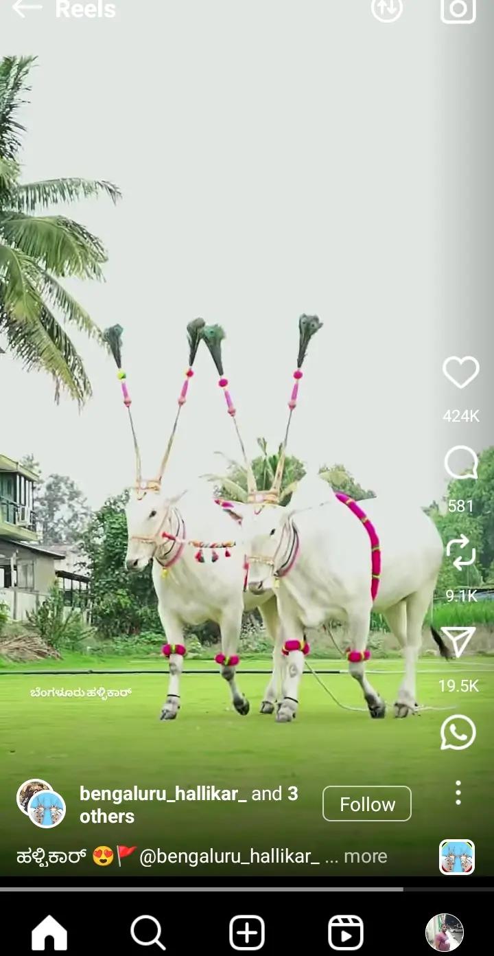 @Sayed karnatak