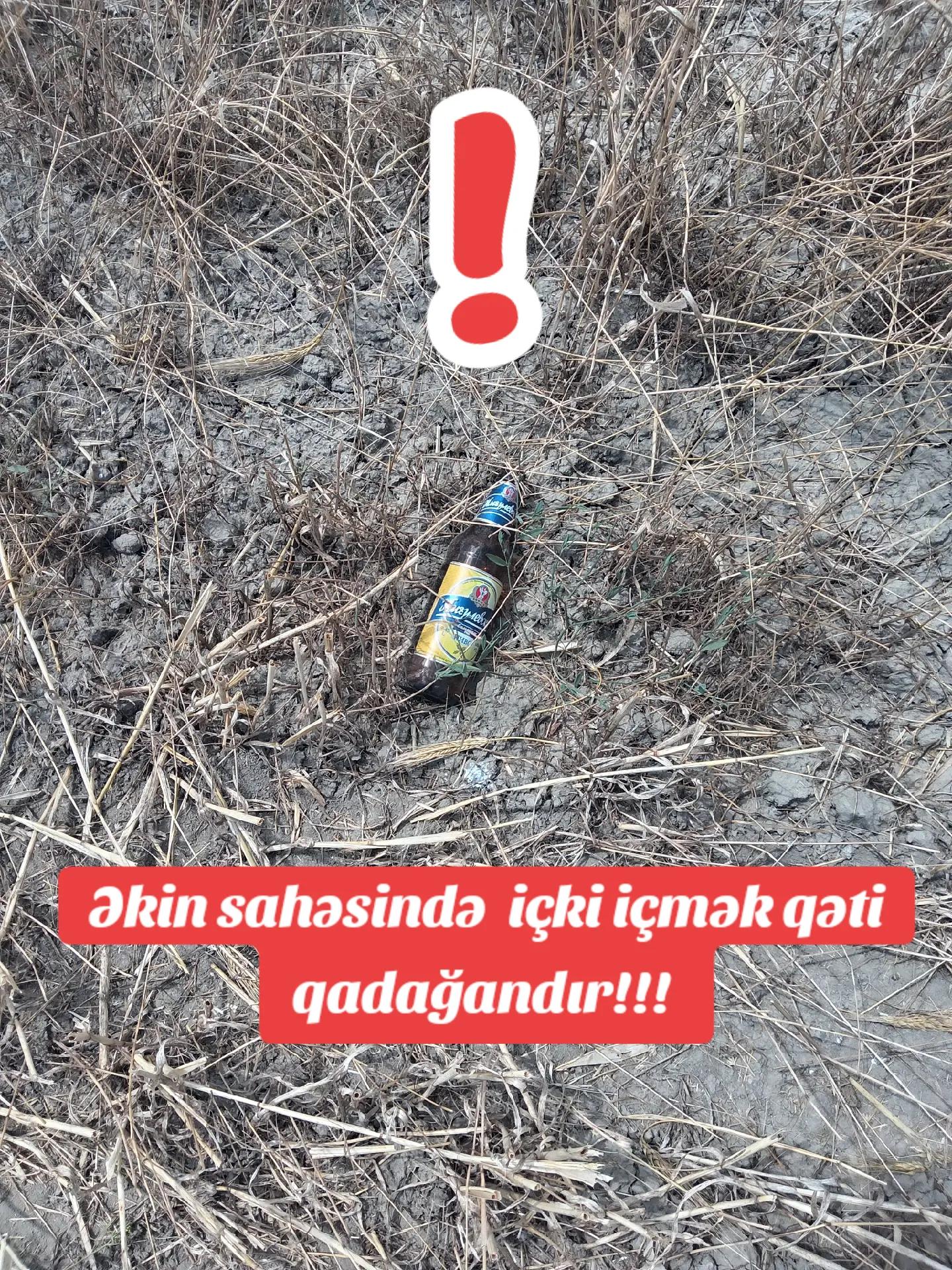 @Traktor_Aləmi
