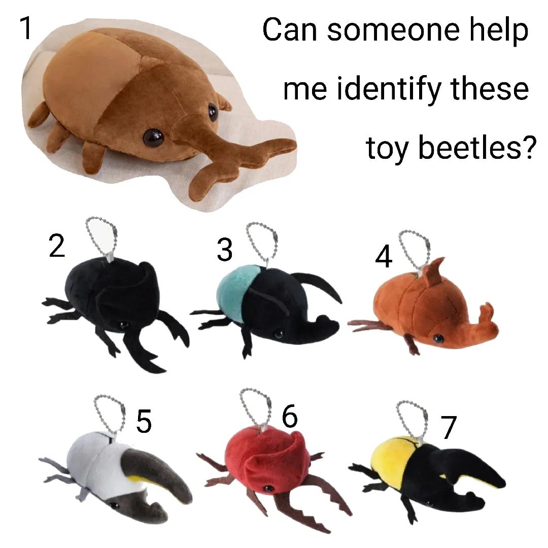 @birbwirb