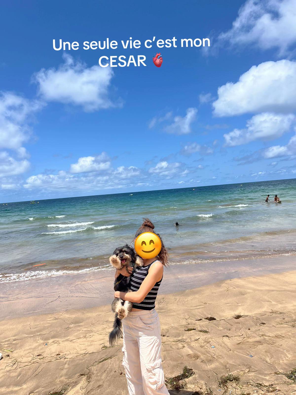 @Cesar ๐ซ๐ซ