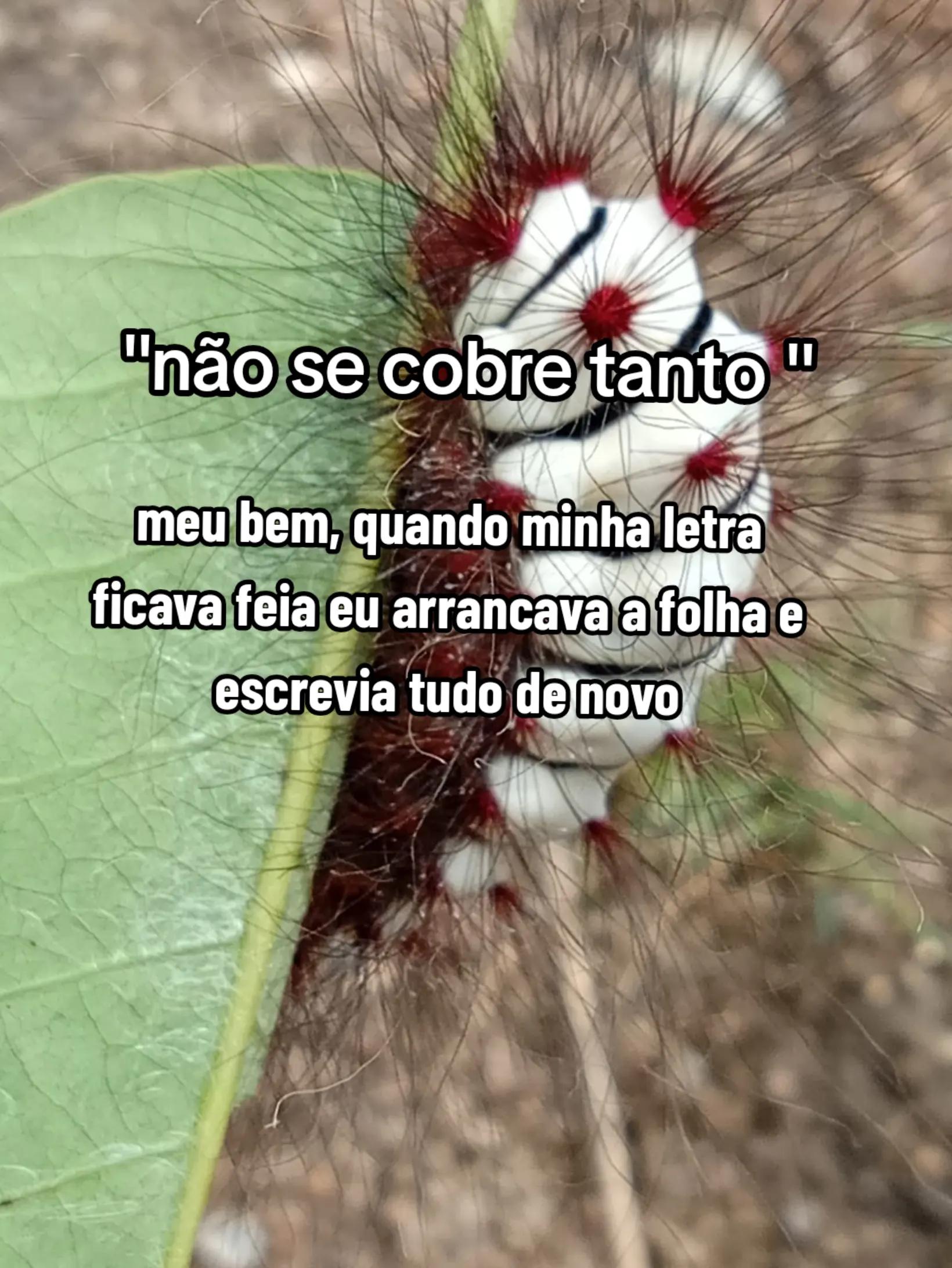 @C͚L͚ÉO͚ I͚N͚D͚I͚R͚E͚T͚A͚S͚