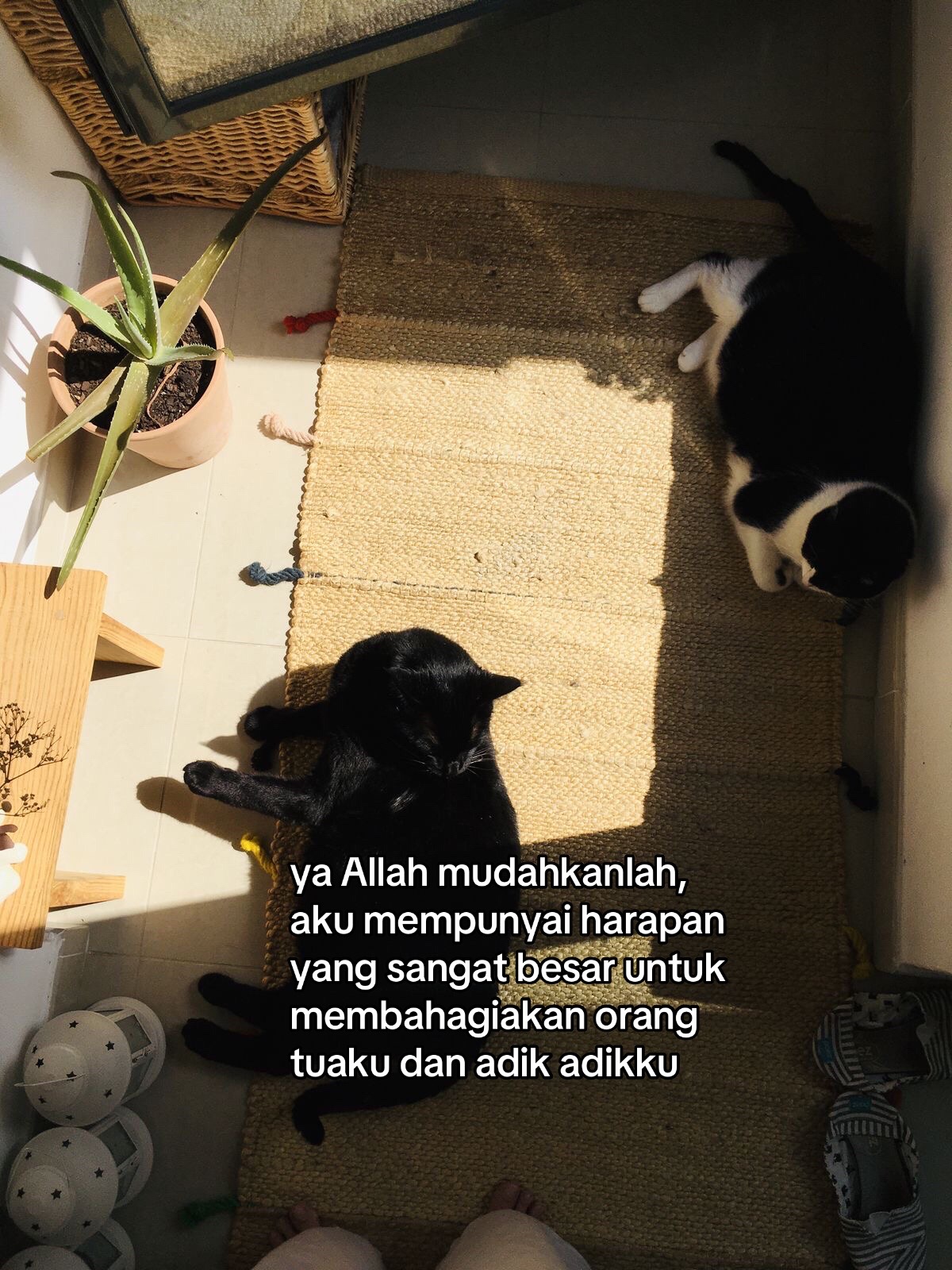 @mas m