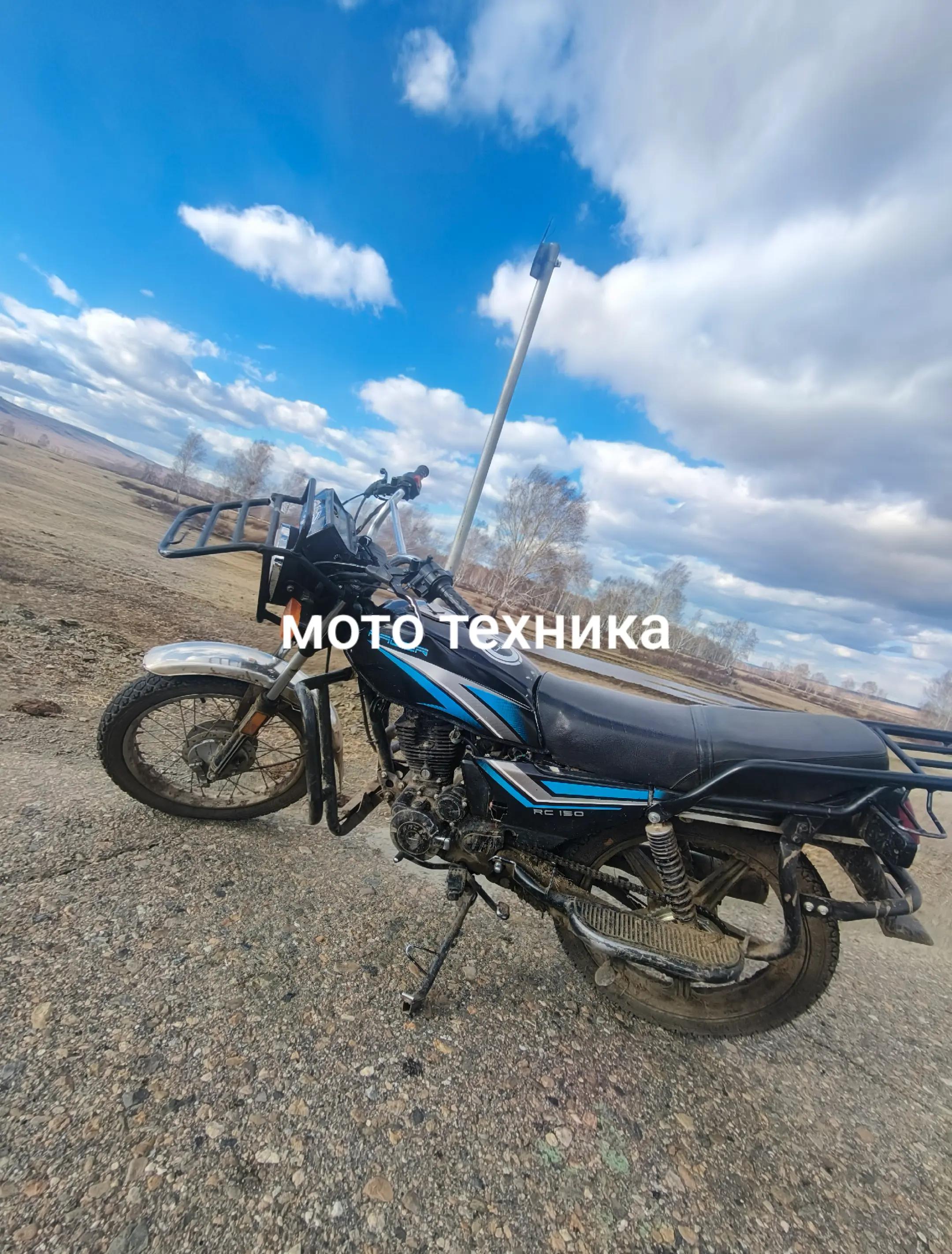 @шмель младший