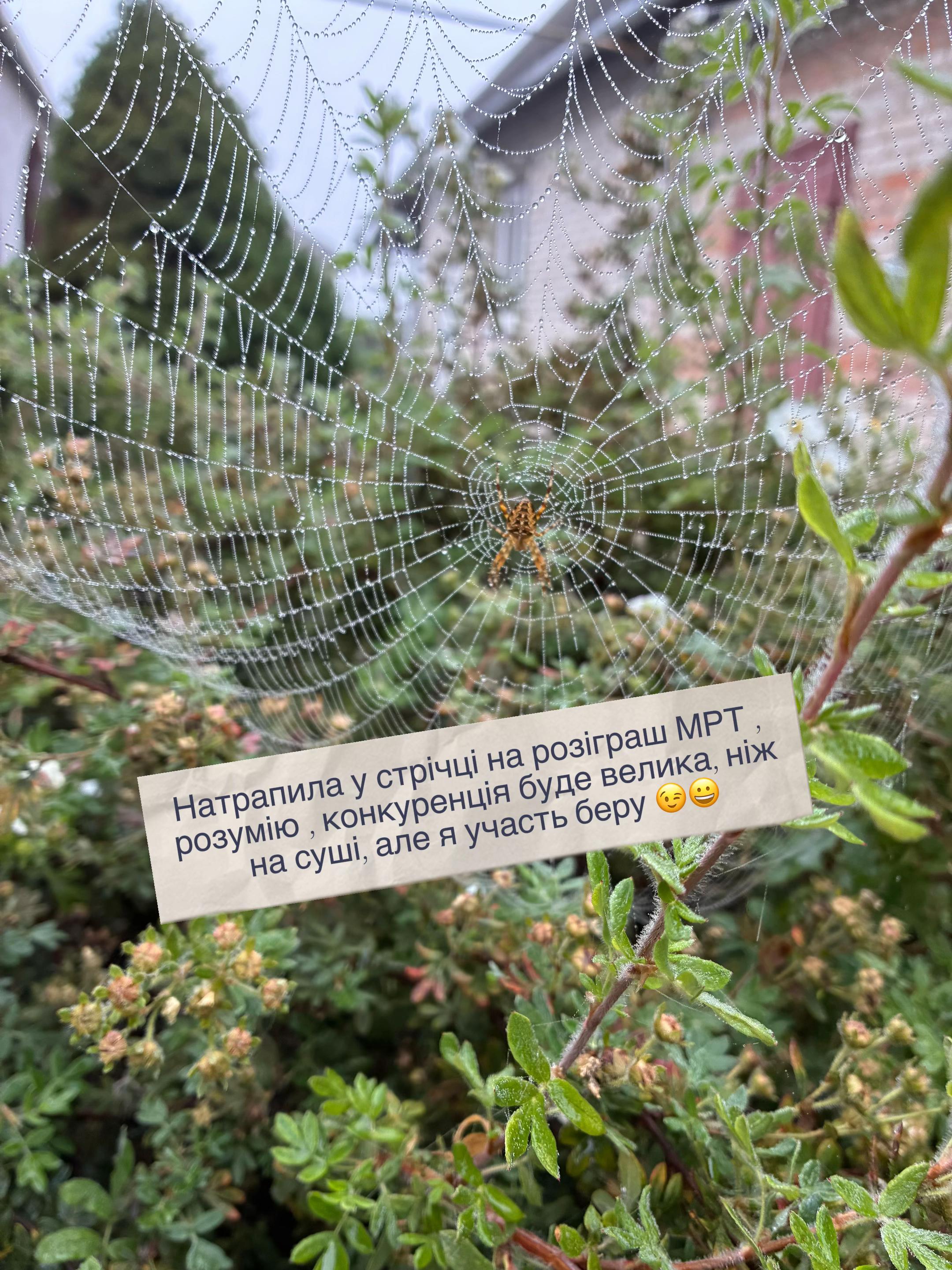 @керуй своїм життям
