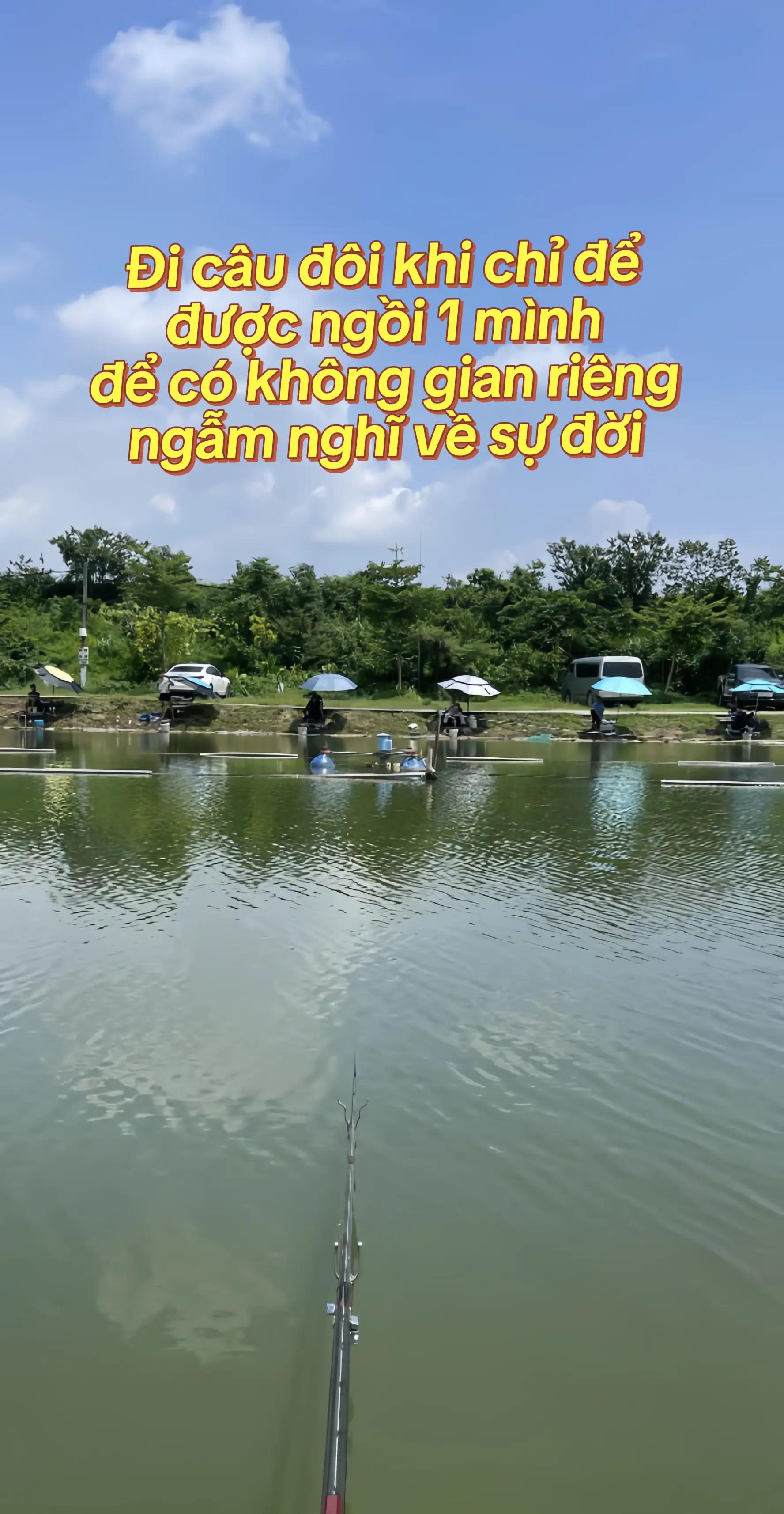 @Dũng Nguyễn Fishing