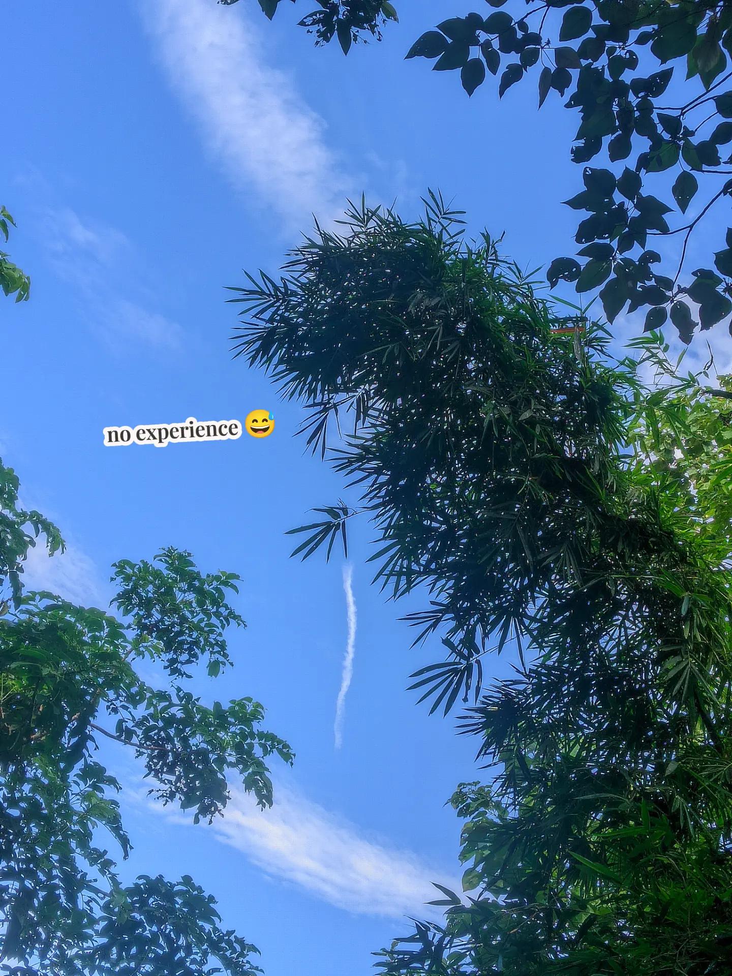 @🍁No Experience🍁