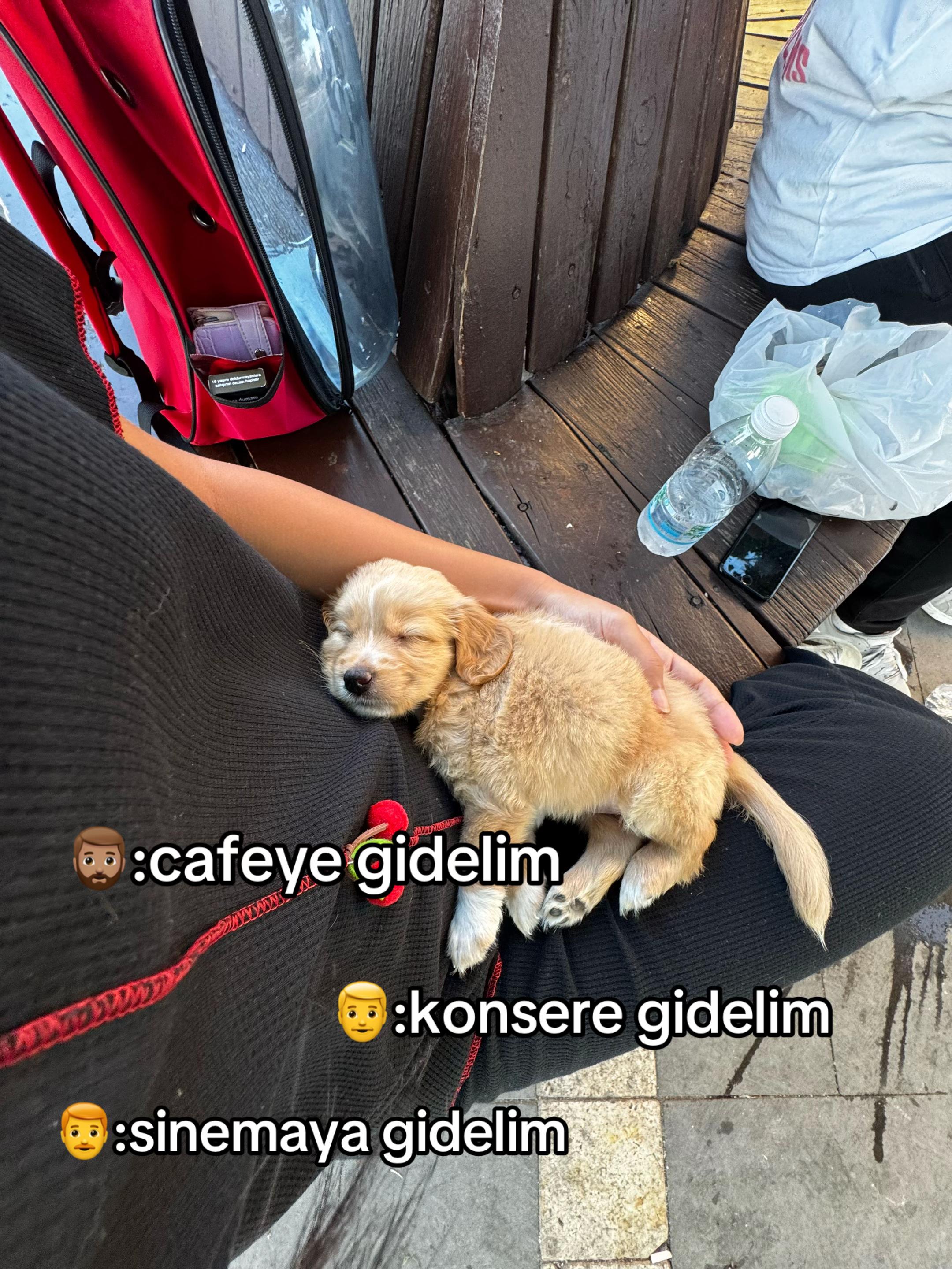@seena