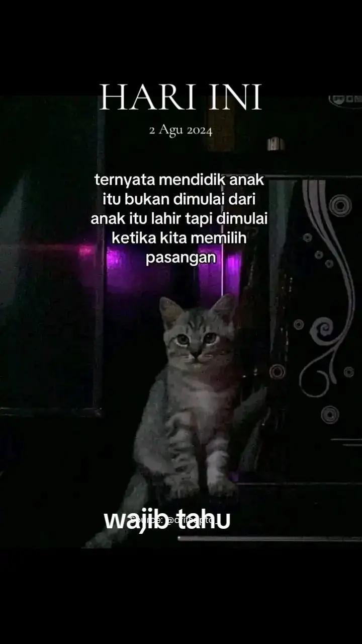 @umihanifah89@