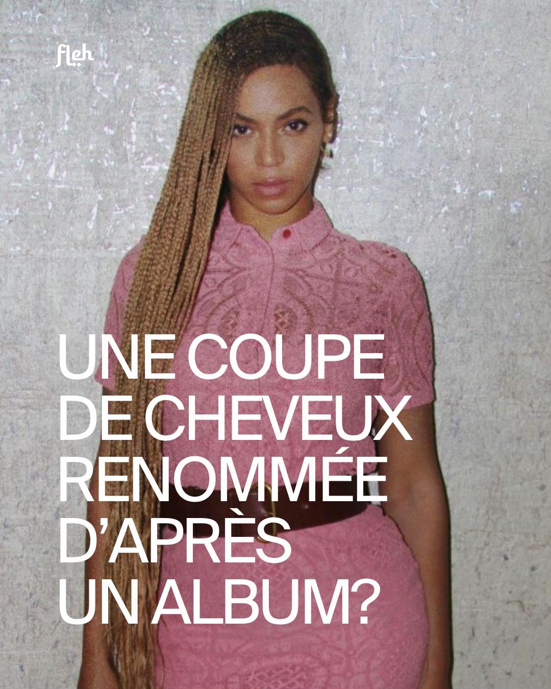 @Flehmedia