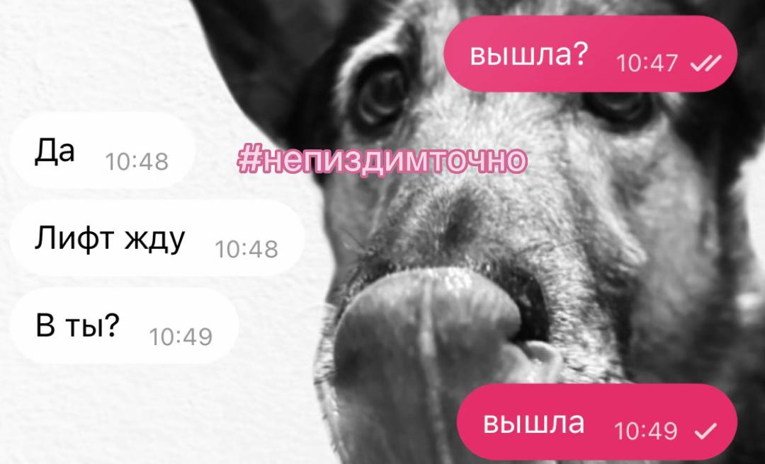@дуся 🎀