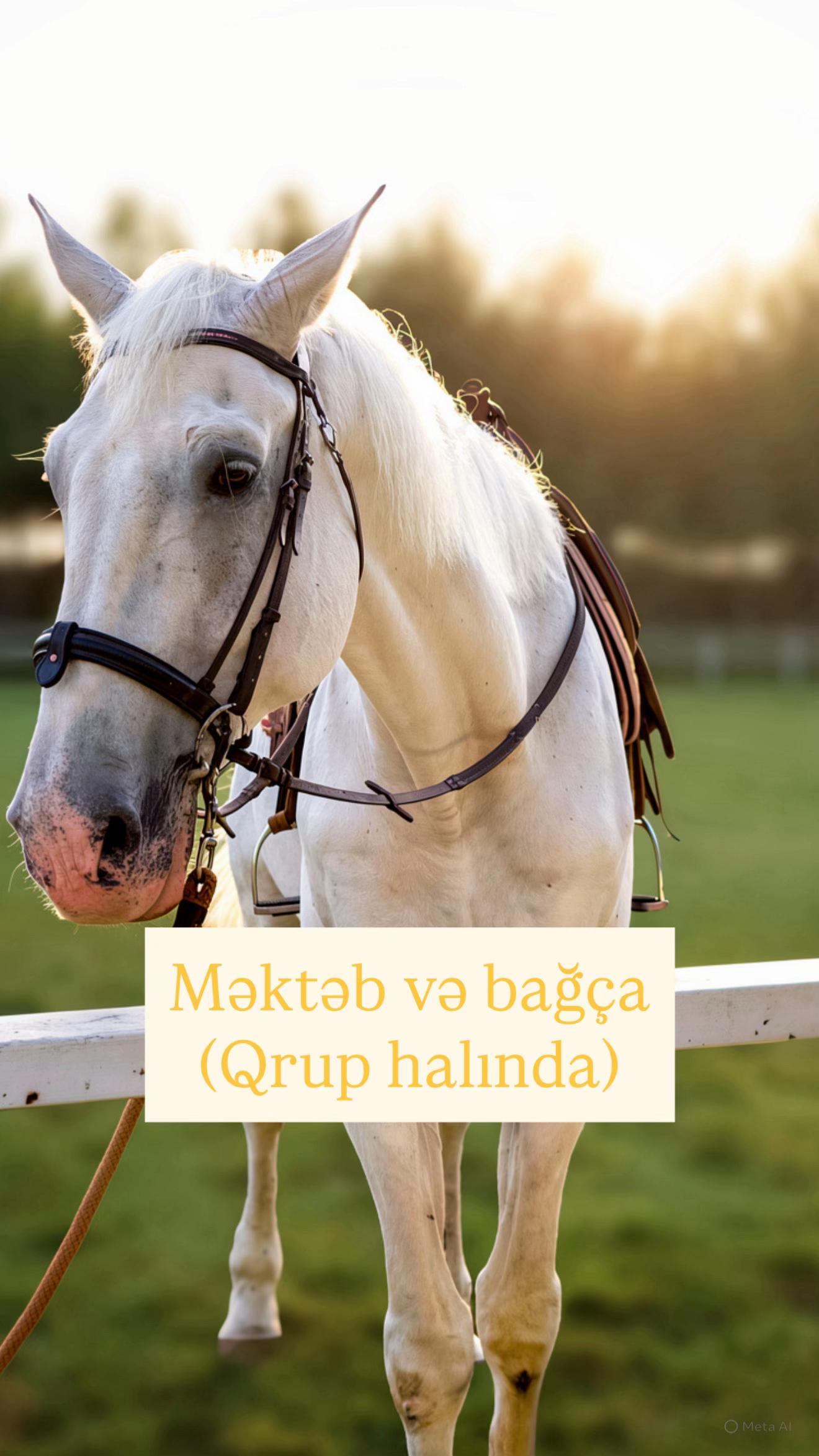 @Omar Atçılıq Klubu