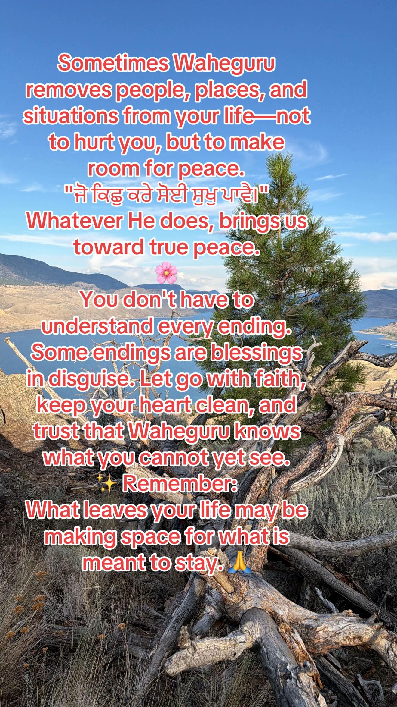 @Nature and life