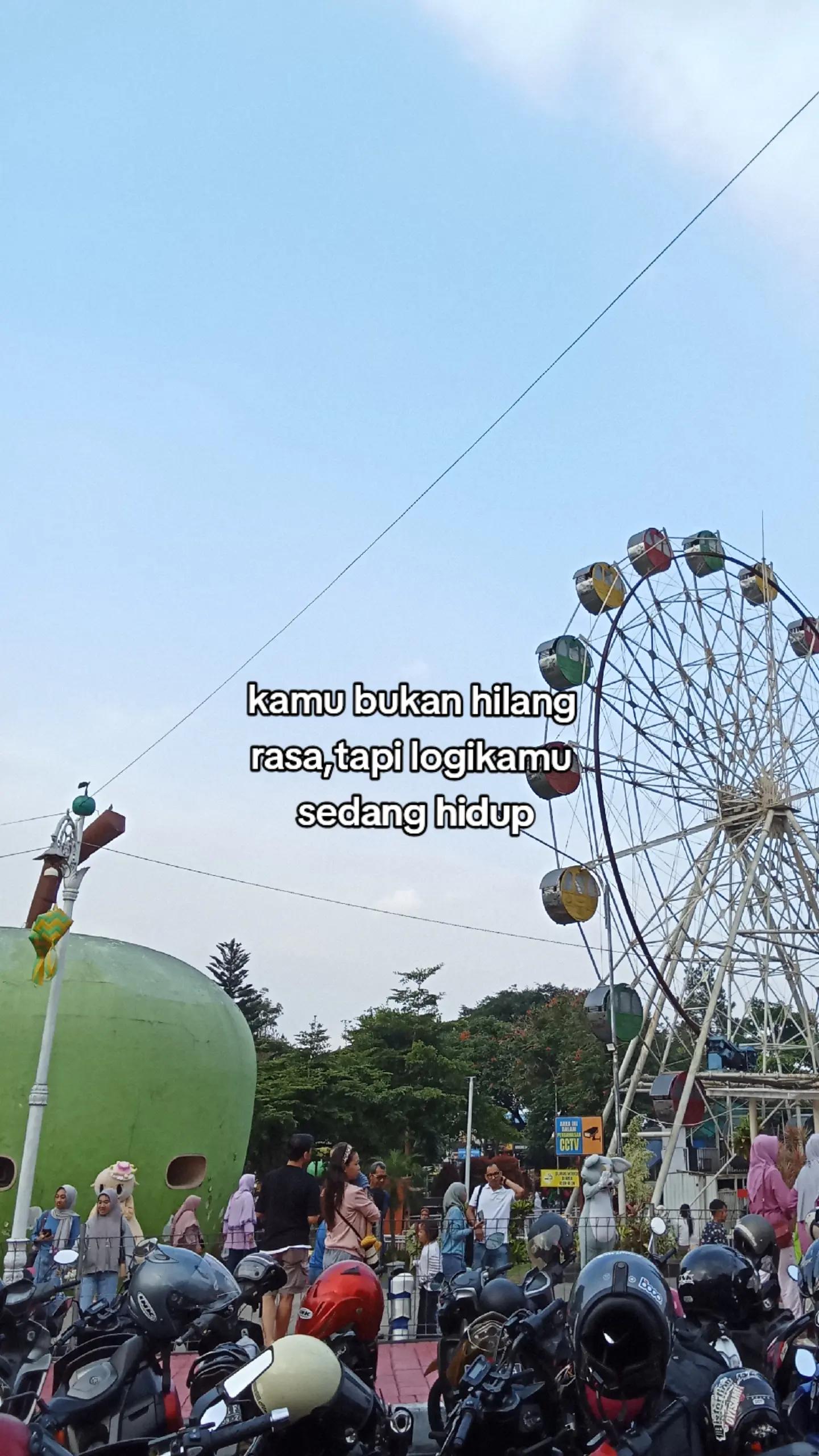 @meong🐾