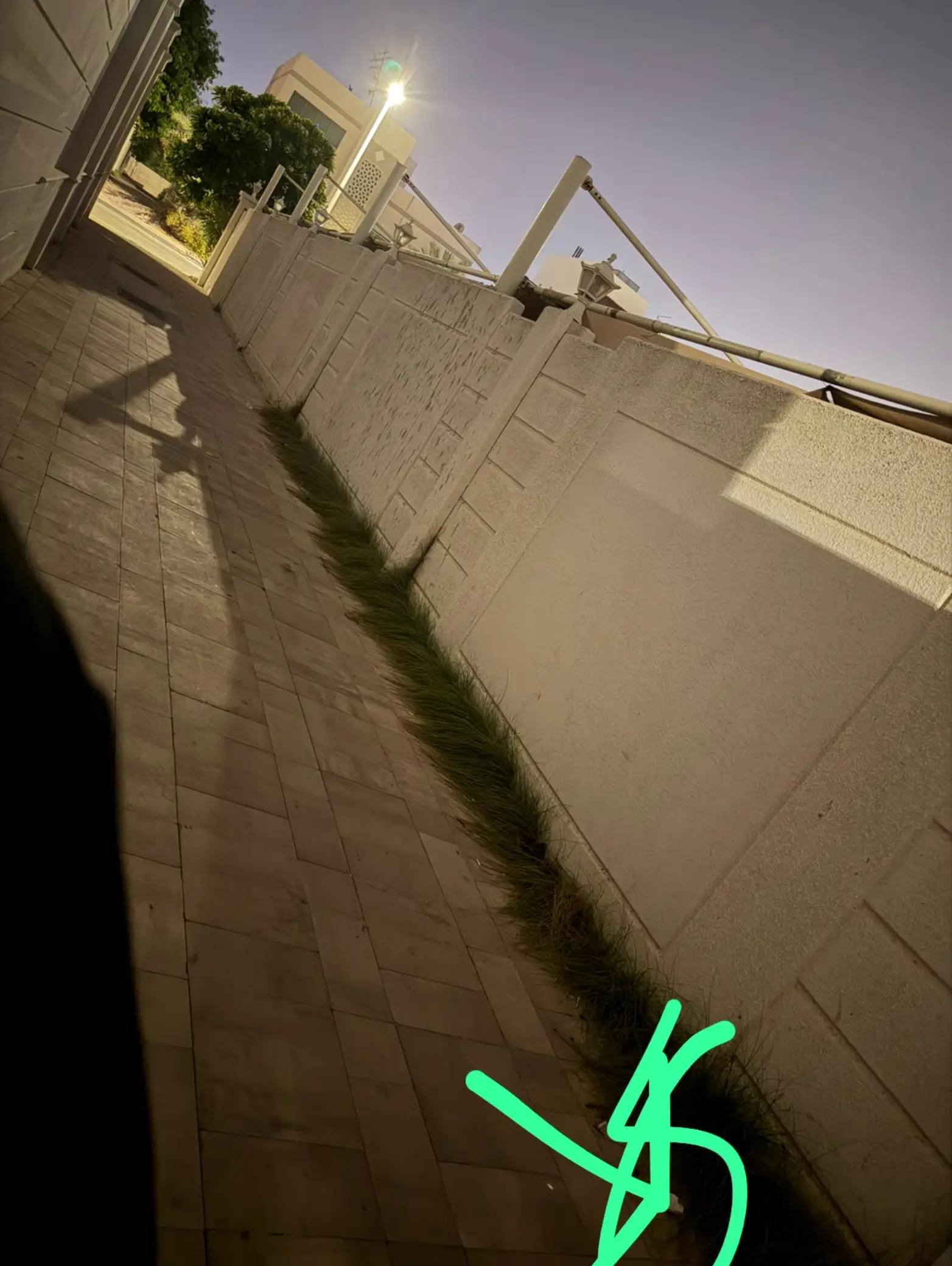 @محمد قاسم