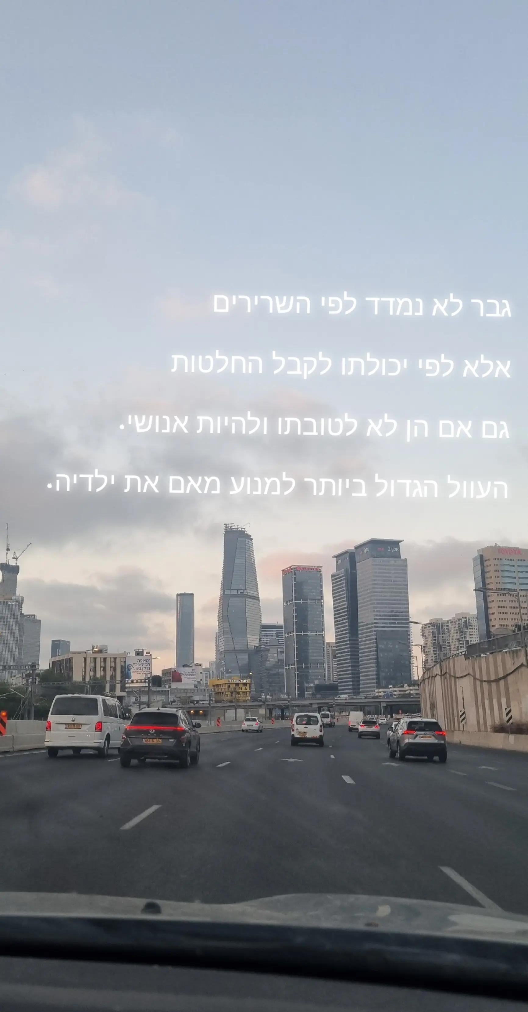 @פורטל הכרמל , emily halabi
