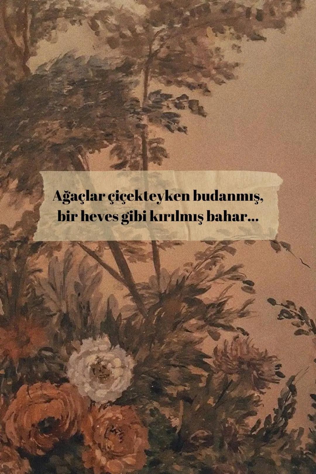 @Tuğba D.