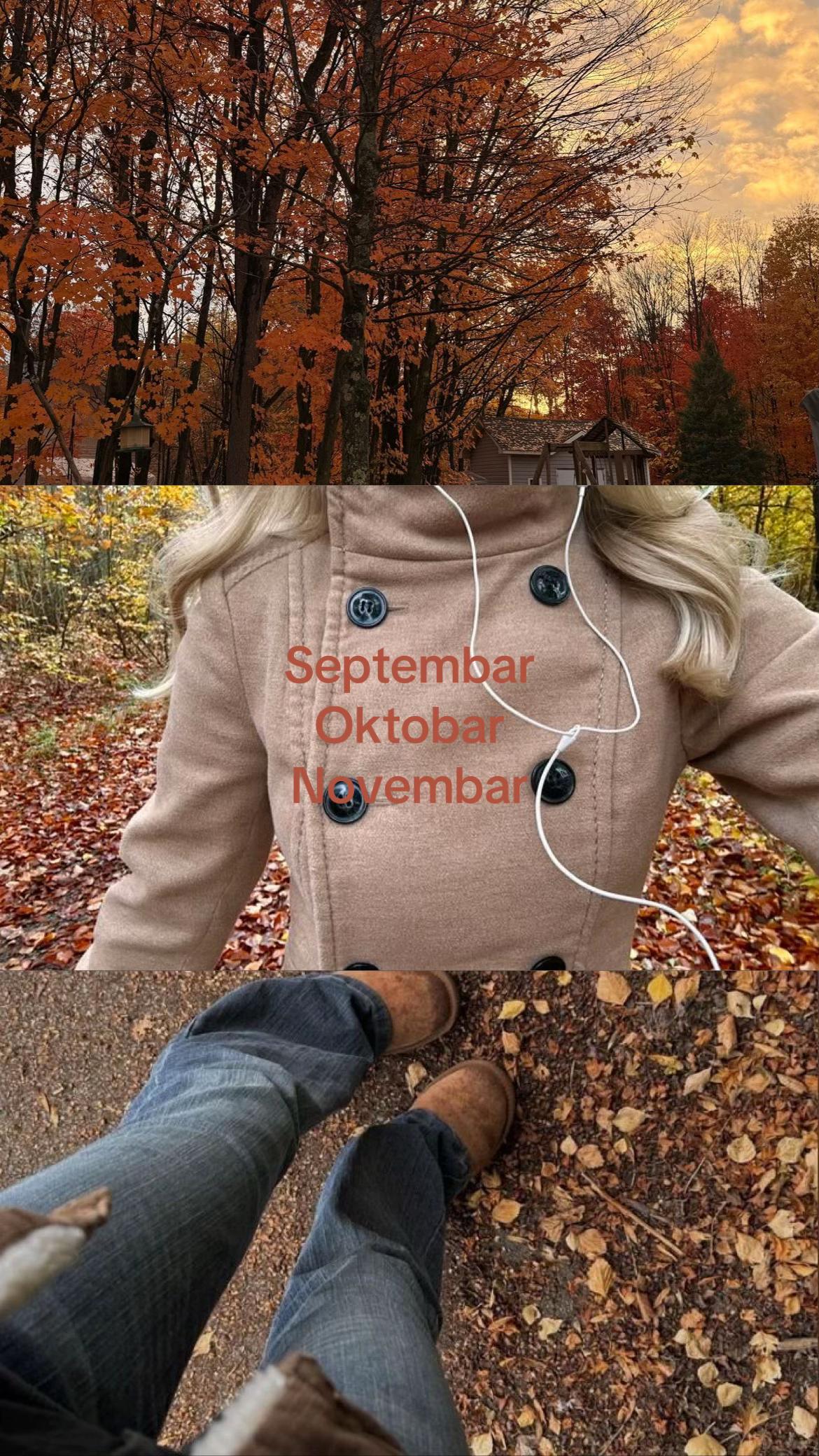 @𝓐 𐙚˙⋆.˚