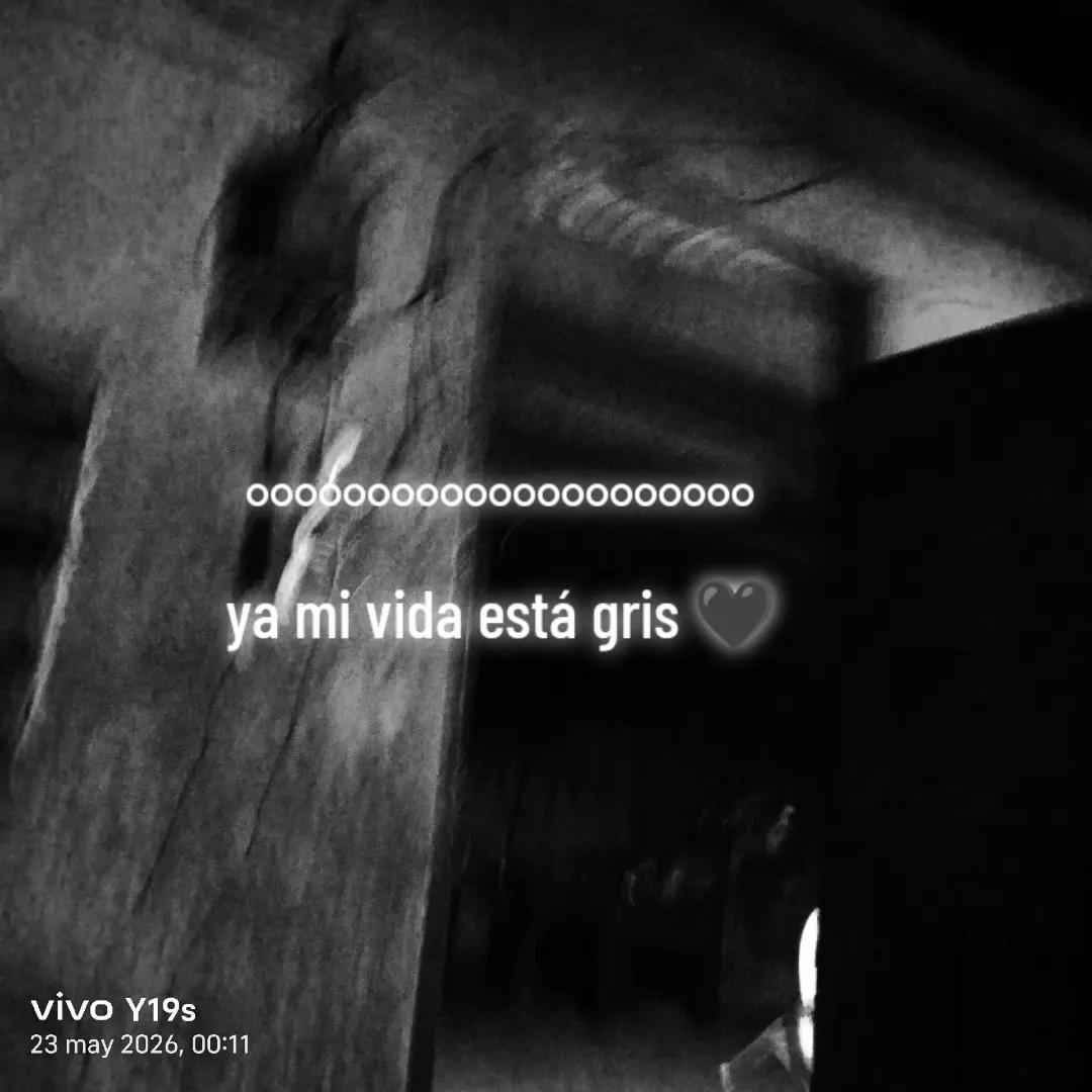 @合 ┋Ángel 666