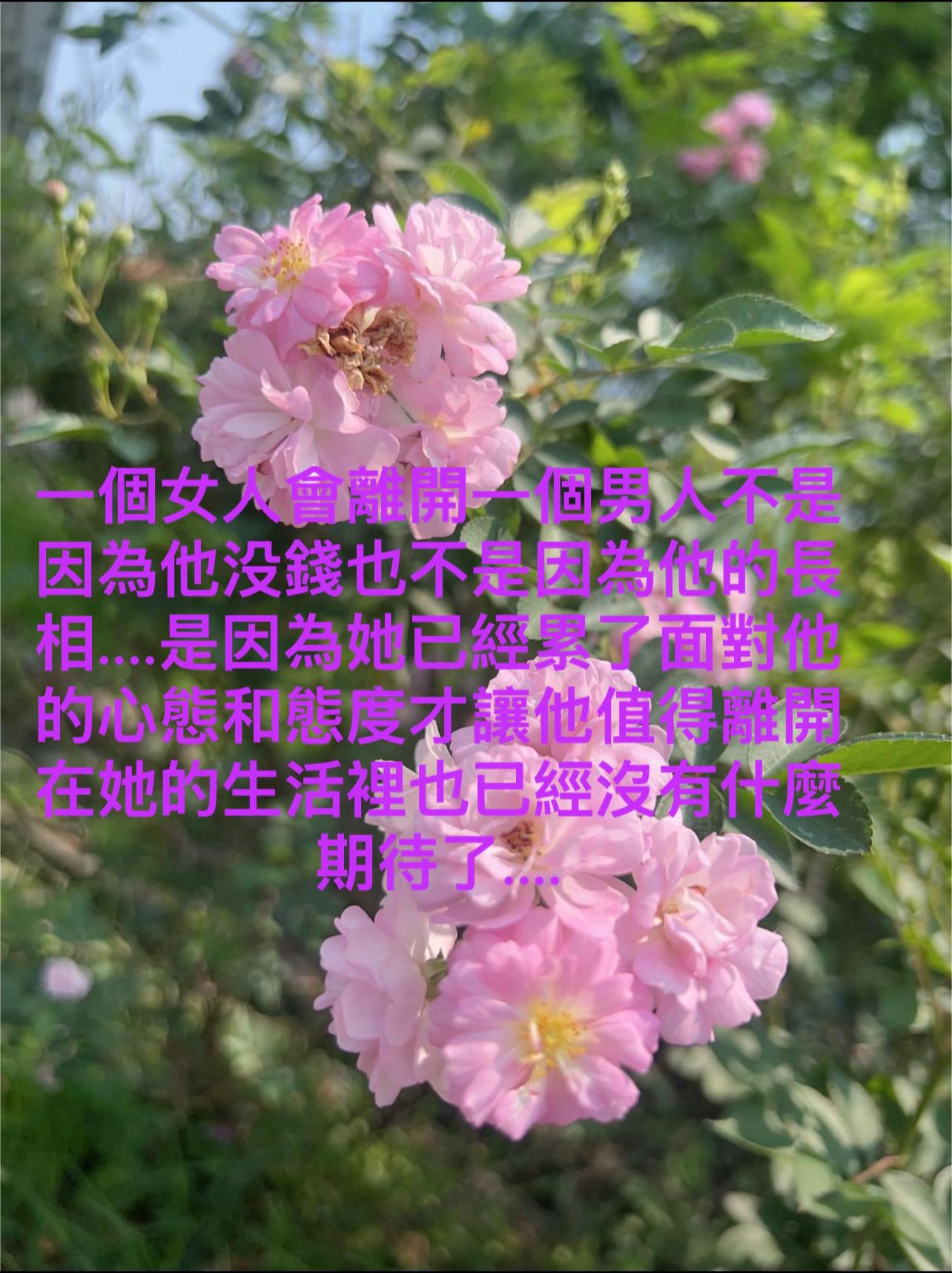 @609ๅๅ ก๐ฆ