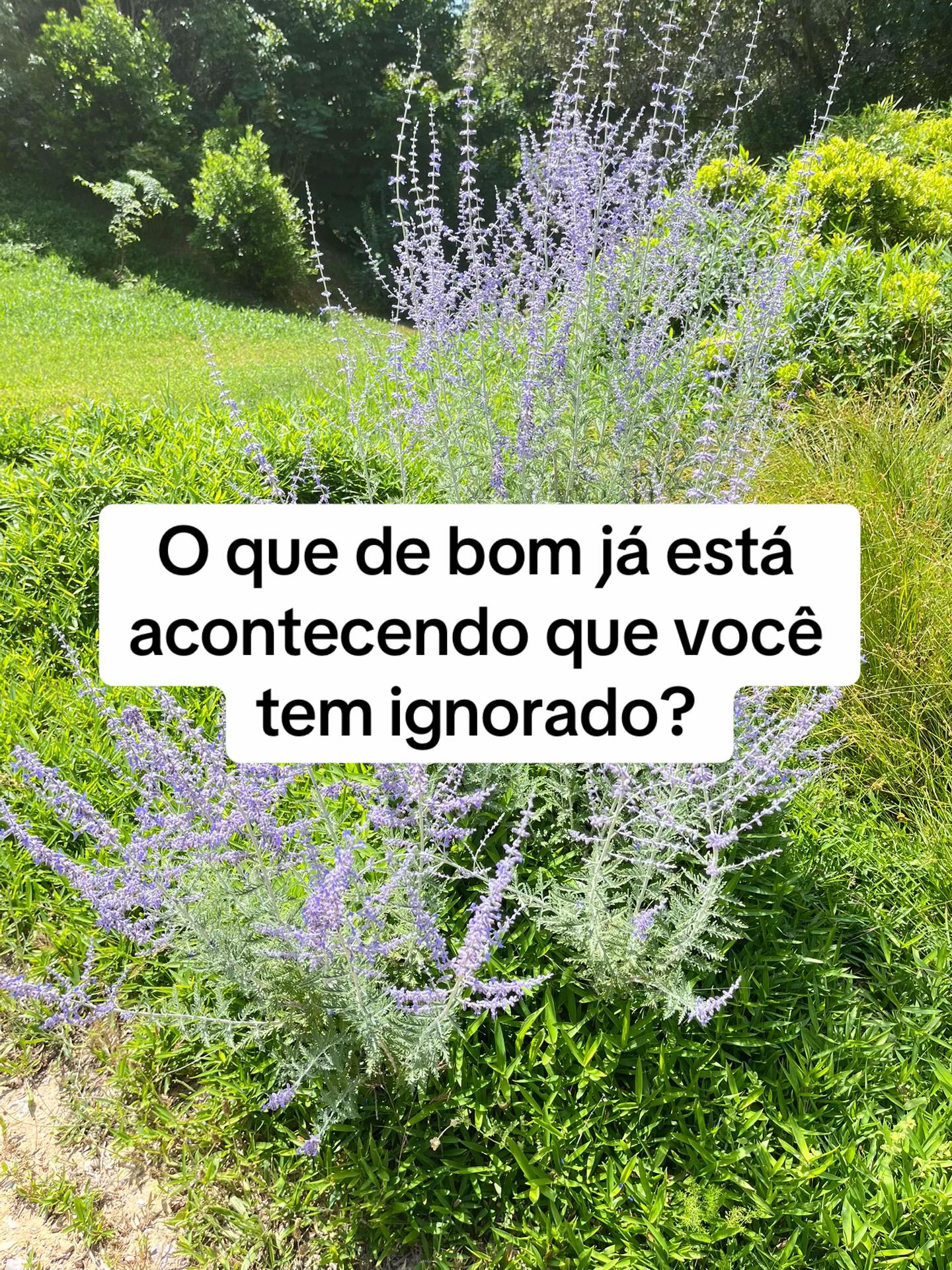 @Vanessa E. Santos | Terapeuta