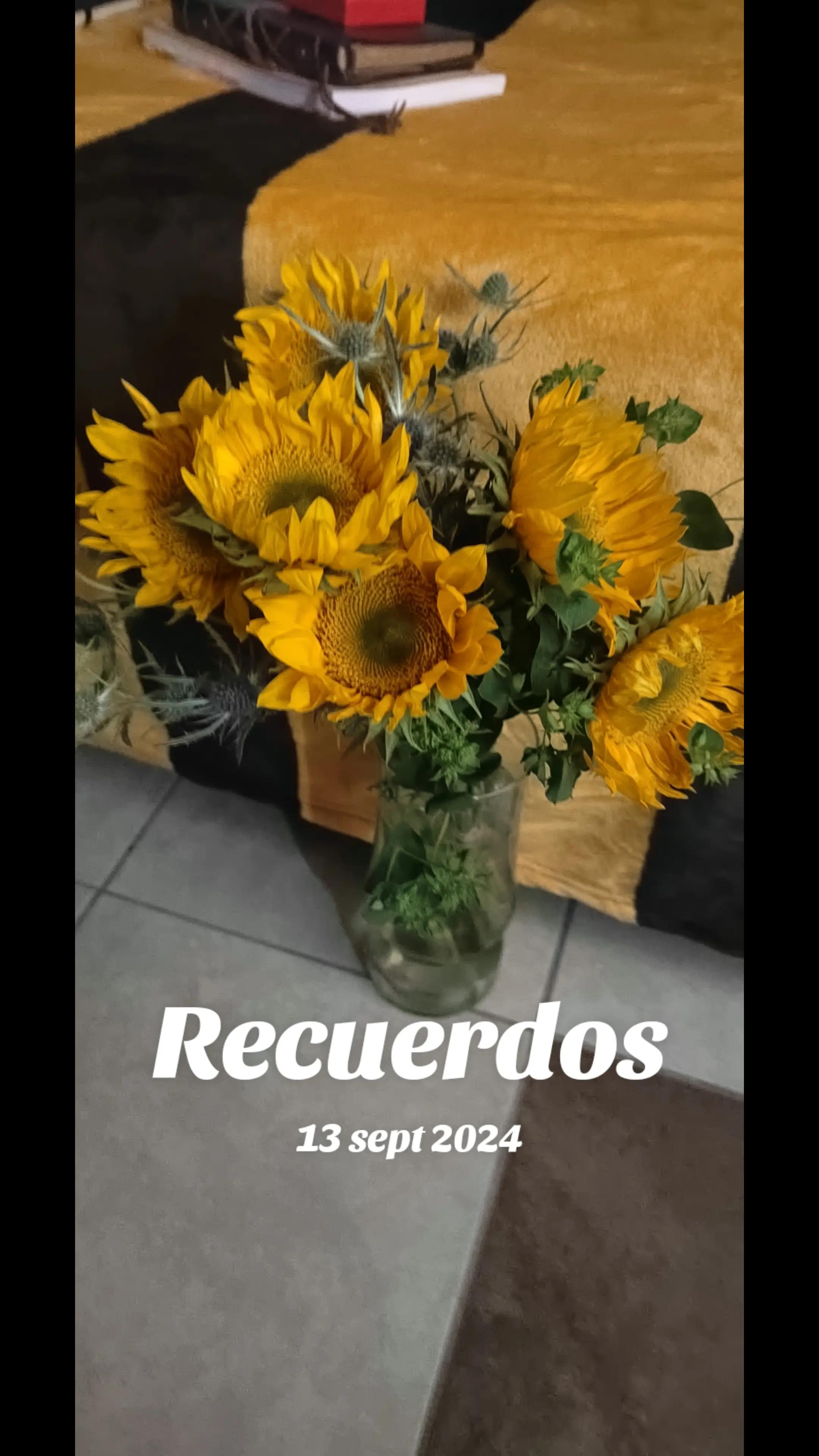 @Isis🌻