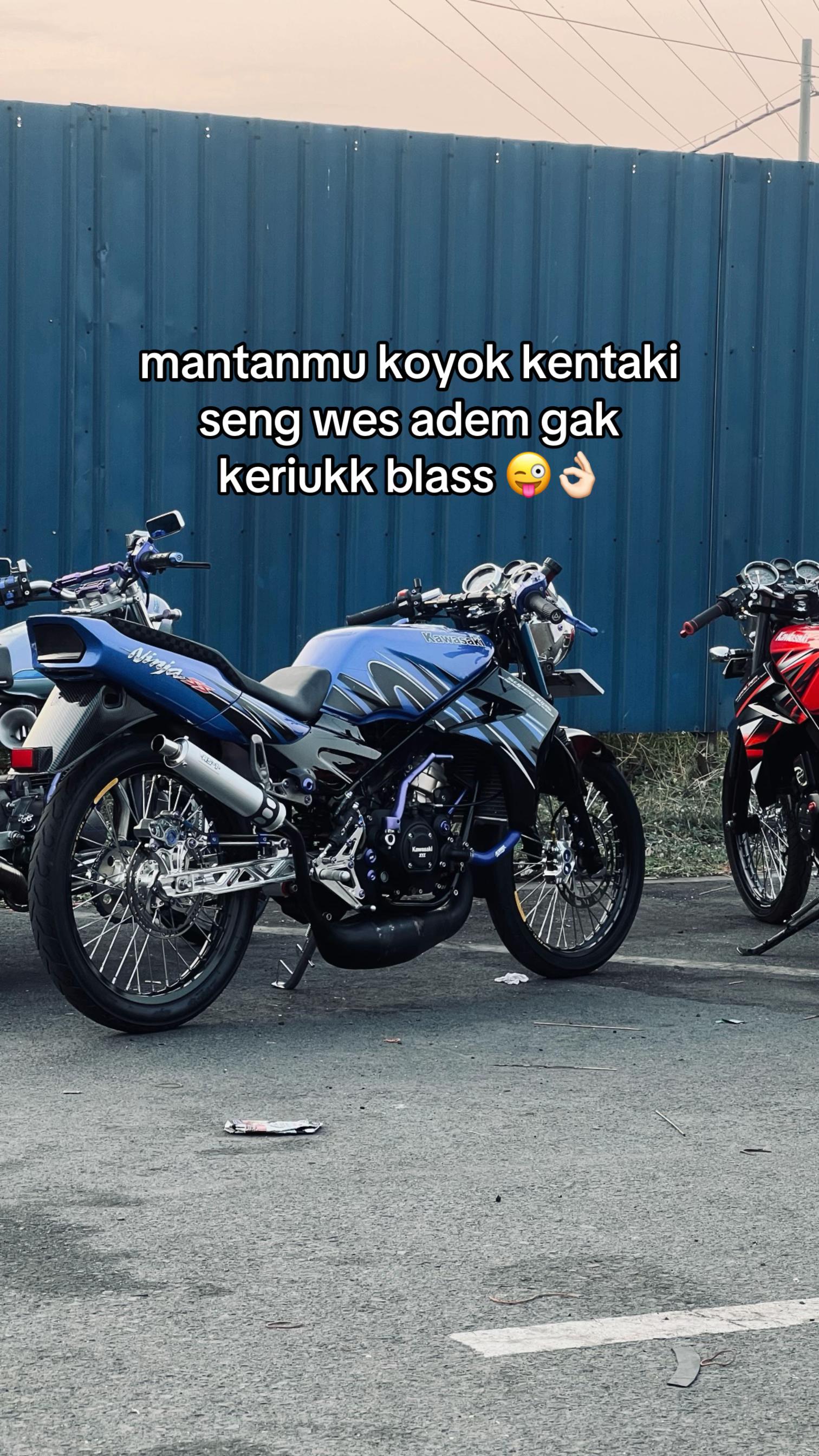 @alif_mdf