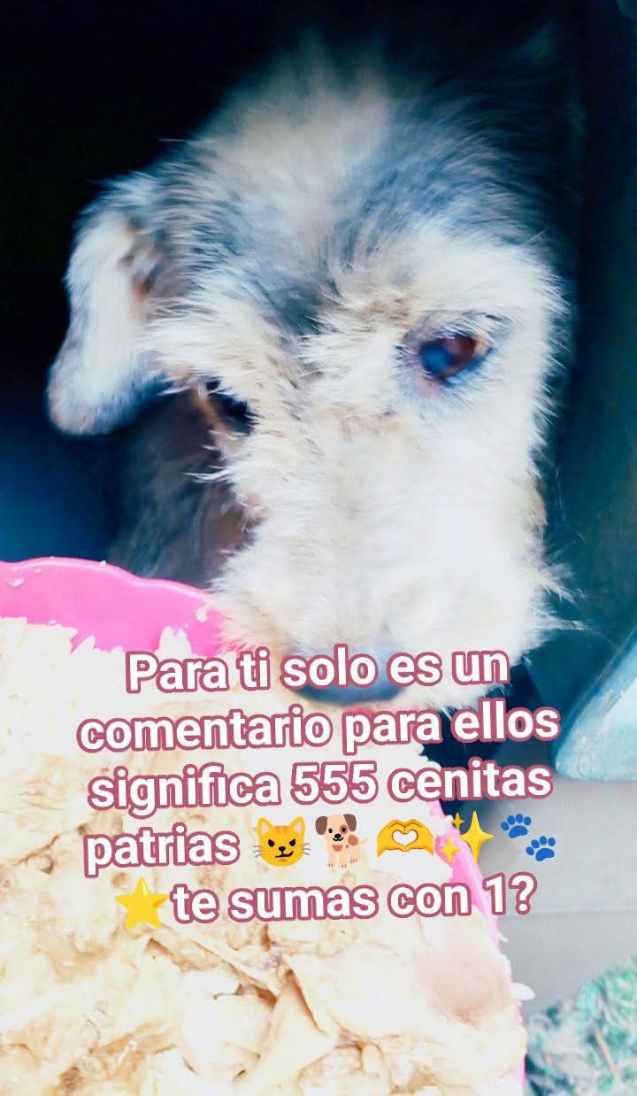 @Adriana Torres ACTUE