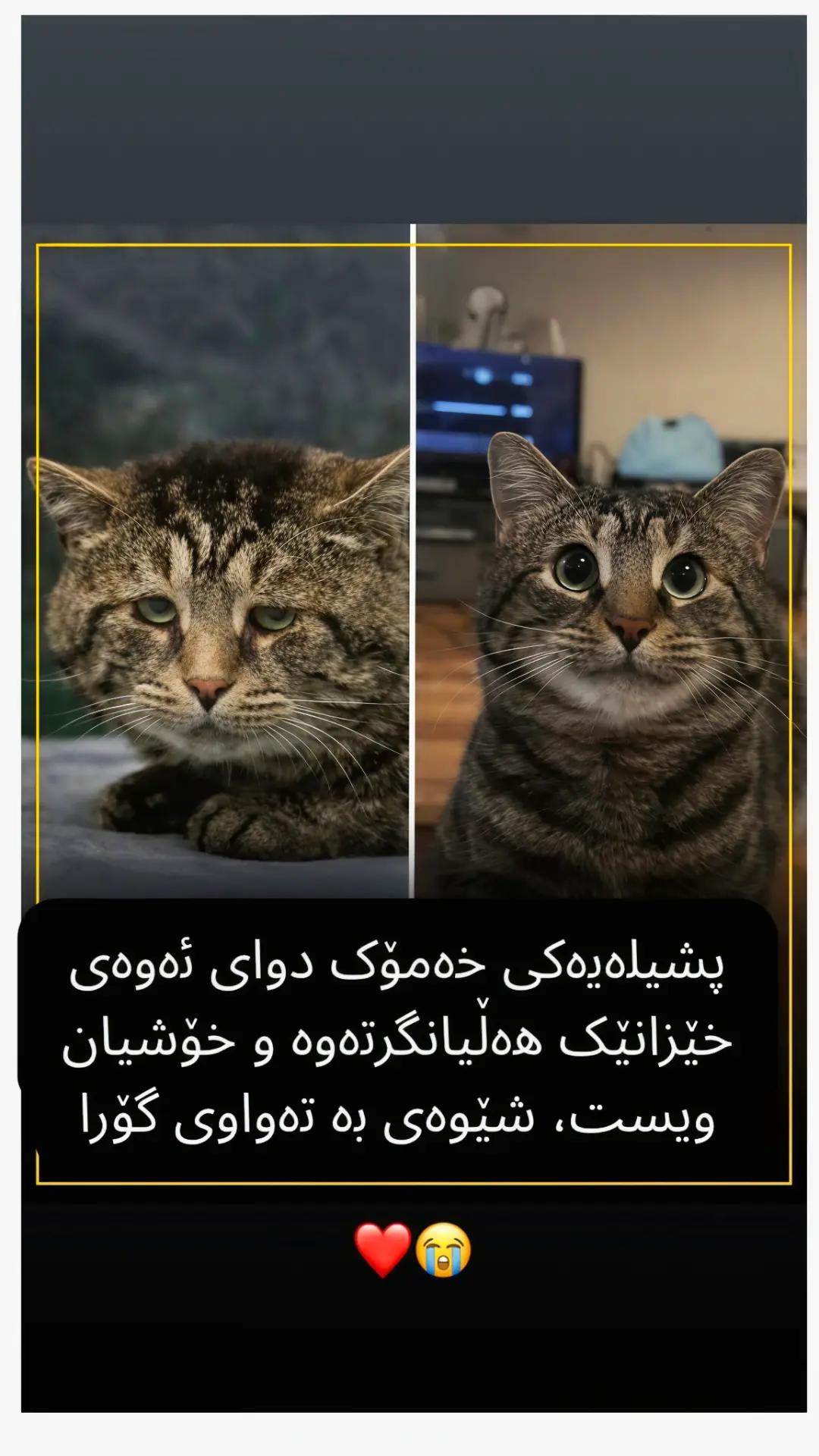 @3pshilaka