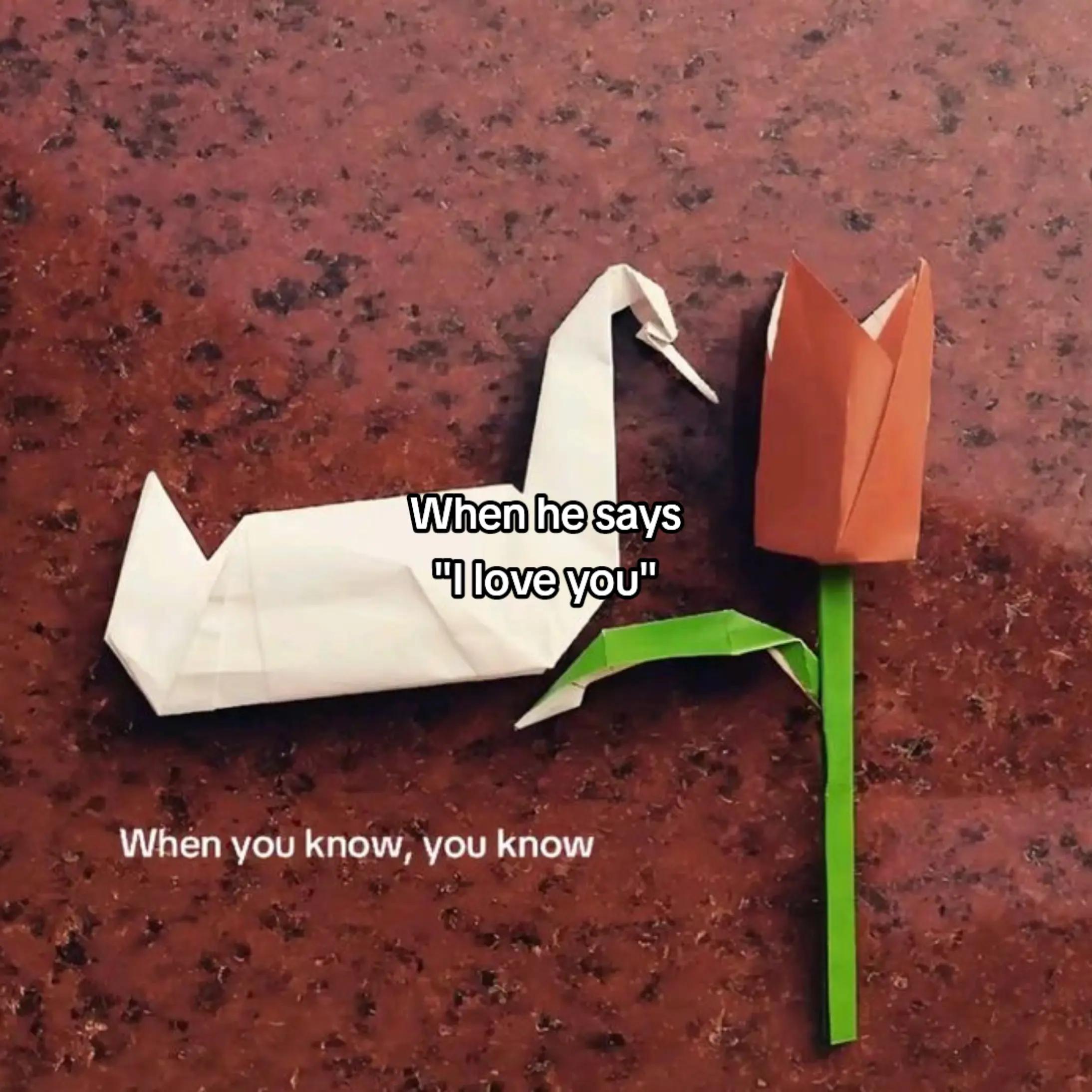 @kris⁷ ⊙⊝⊜