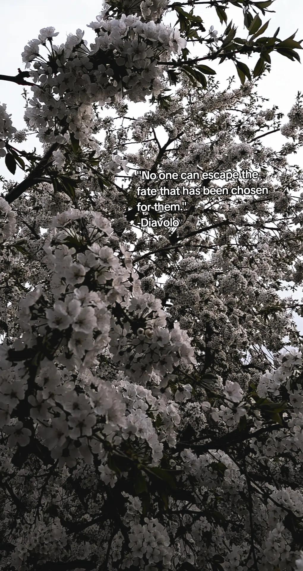@⋆ᴠᴀʟᴋʏʀɪᴇ⋆