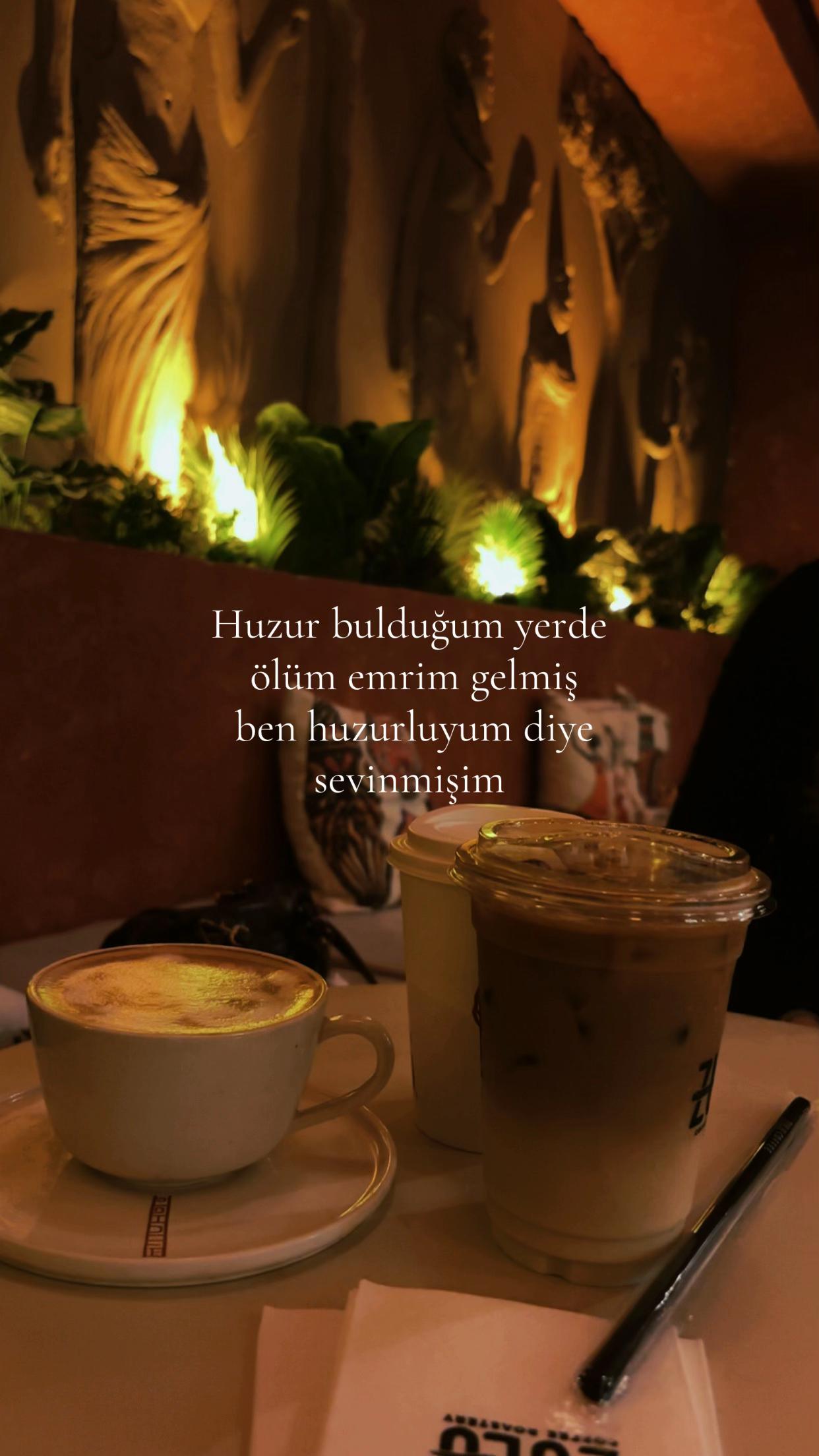 @𝓜 𝓔 𝓡 𝓥 𝓔