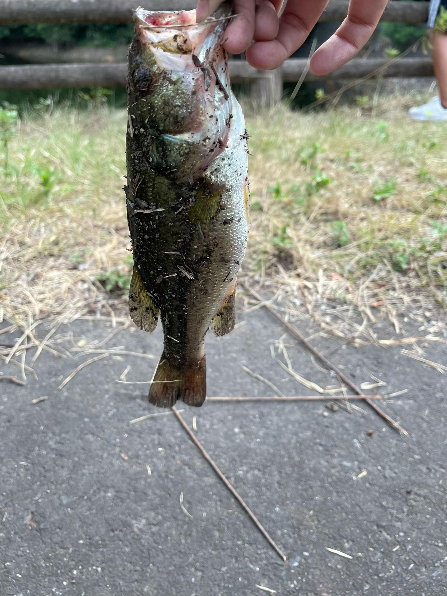 @釣り中学生
