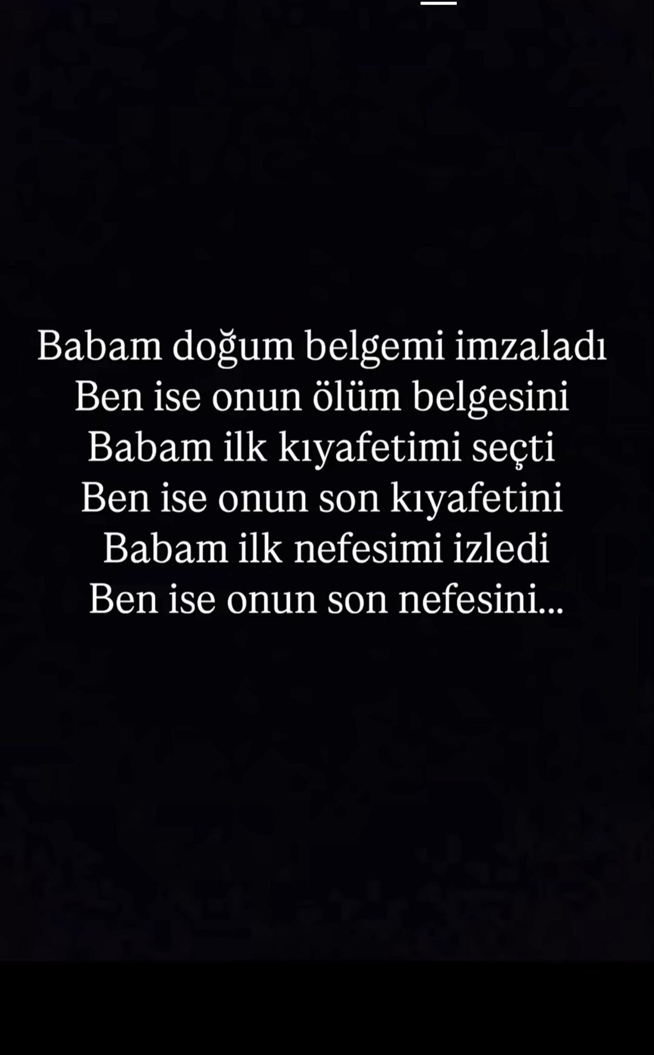 @Sefa Mert