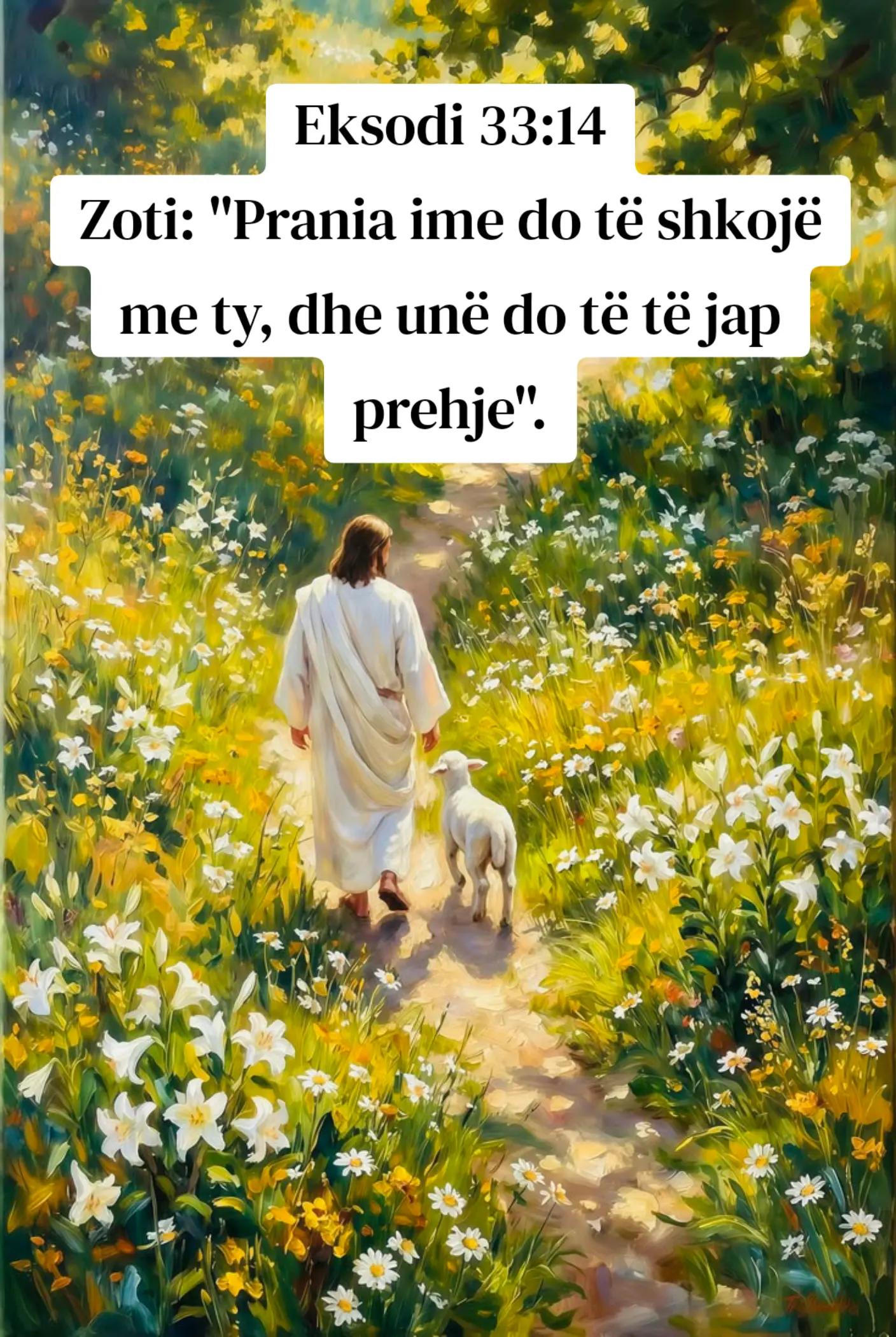 @Bariu i Mir&euml;