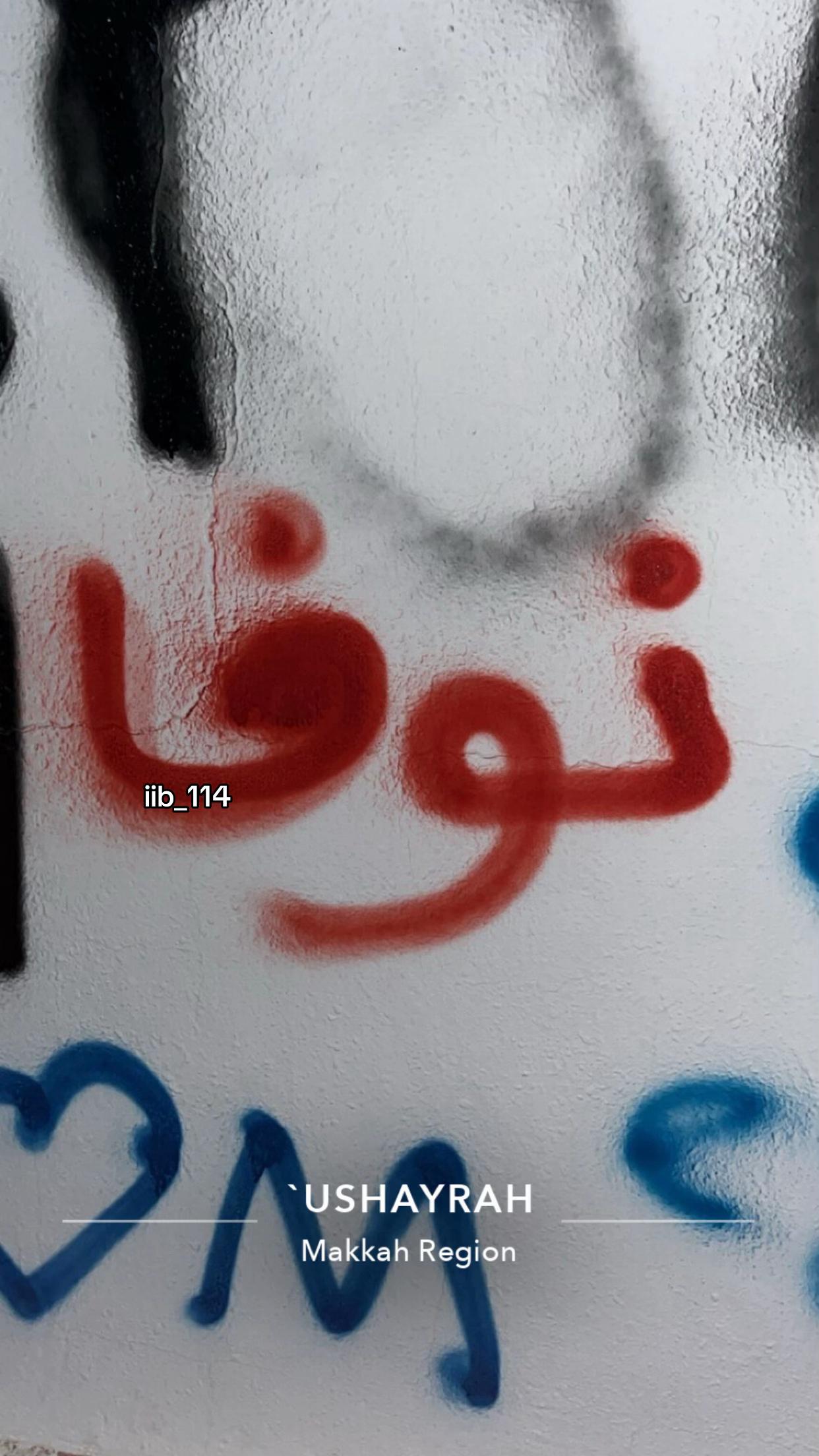 @Nouf Al-Otaibi