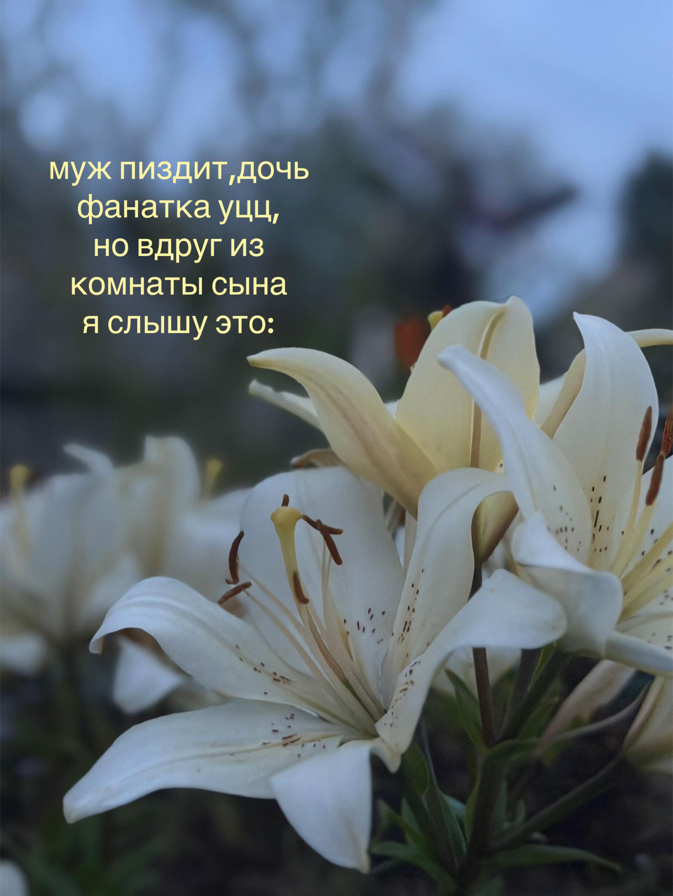 @рей